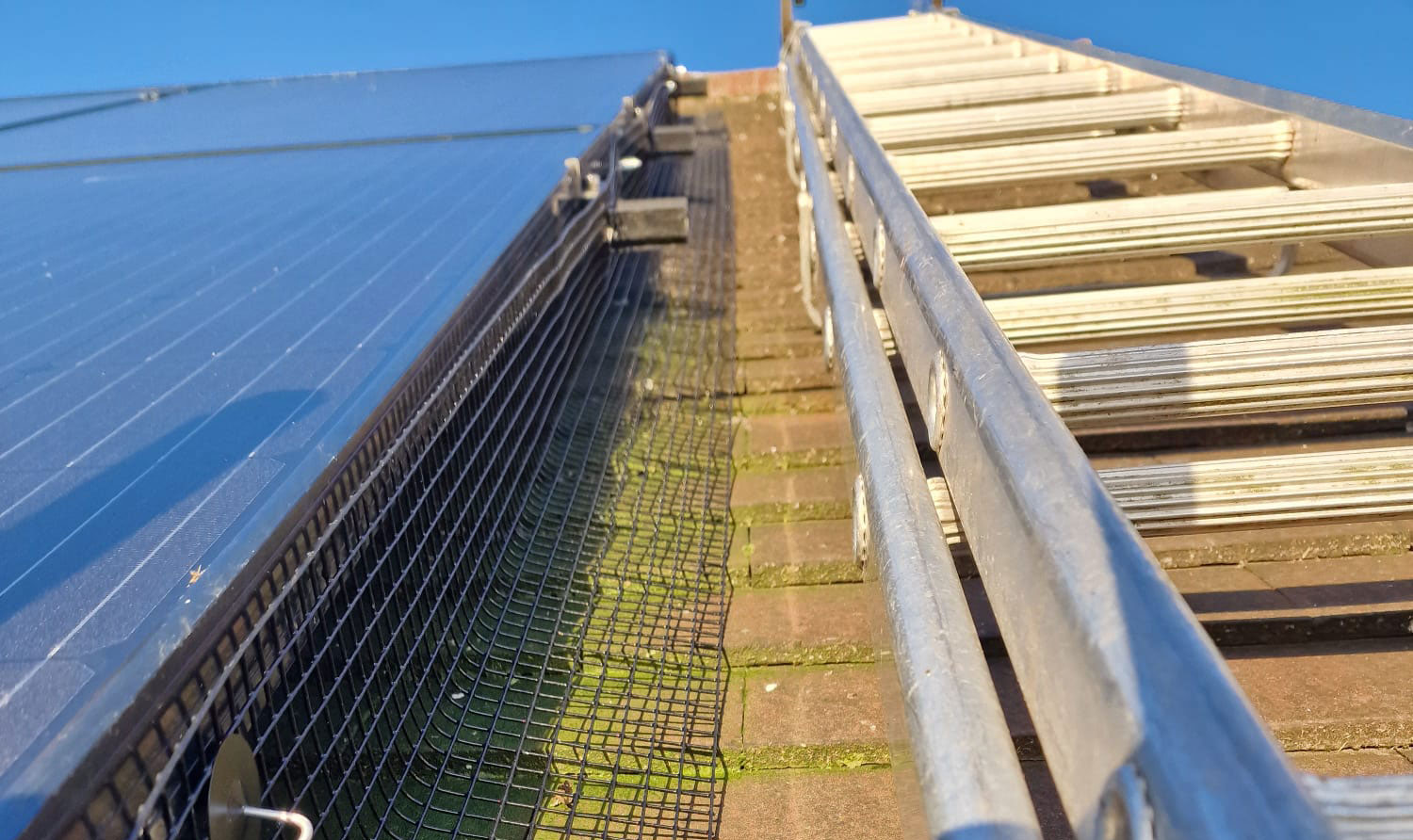 Pigeon Proofing Solar Panels in Bilborough