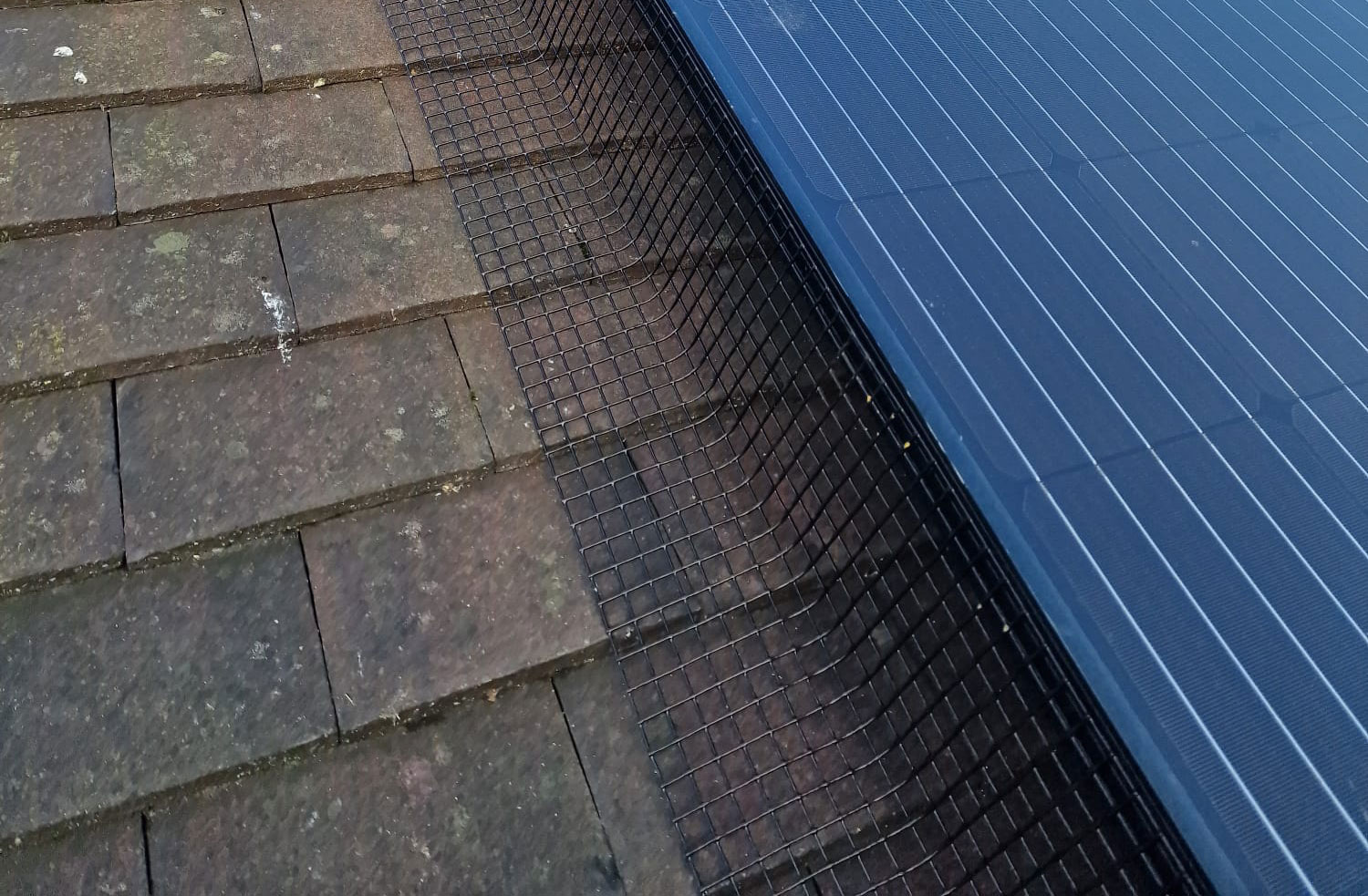 Pigeon+Proofing+Solar+Panels+in+Bilborough