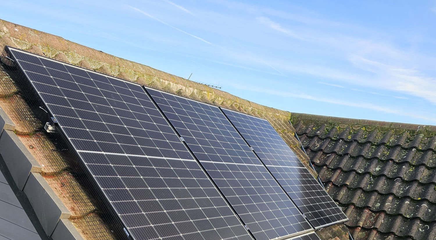Back In Bingham To Protect Solar Panels From Pigeons