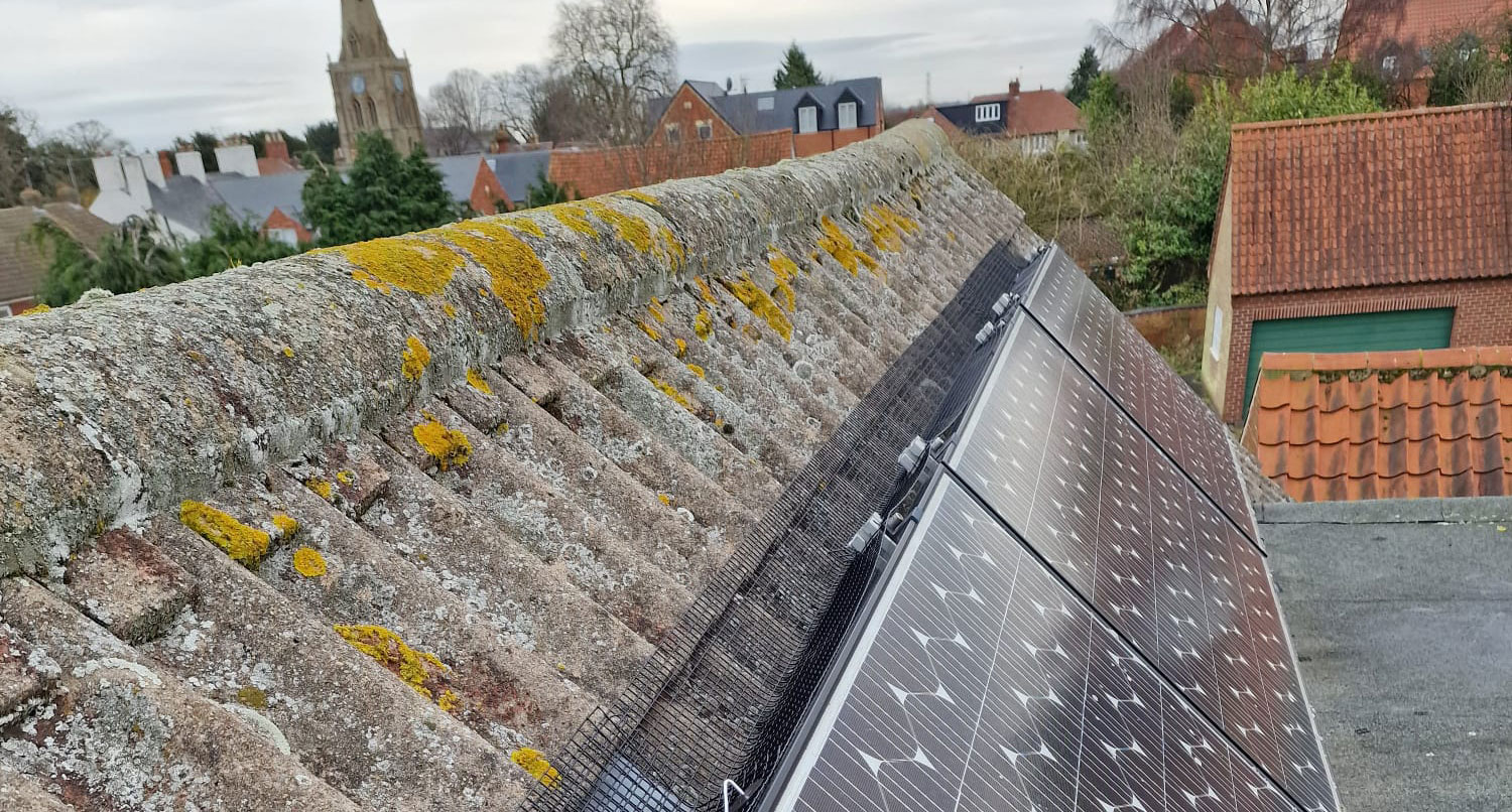 Solar Panels Protected from Pigeons in Bingham