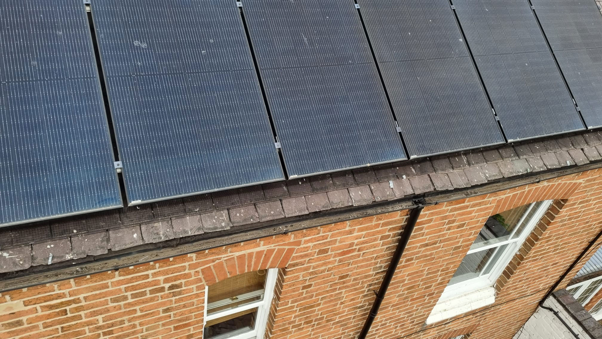 Bingham+Solar+Panel+Protection+from+Pigeons