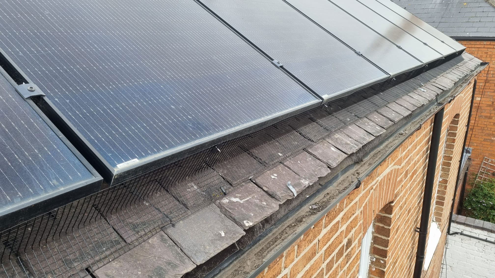 Bingham Solar Panel Protection from Pigeons