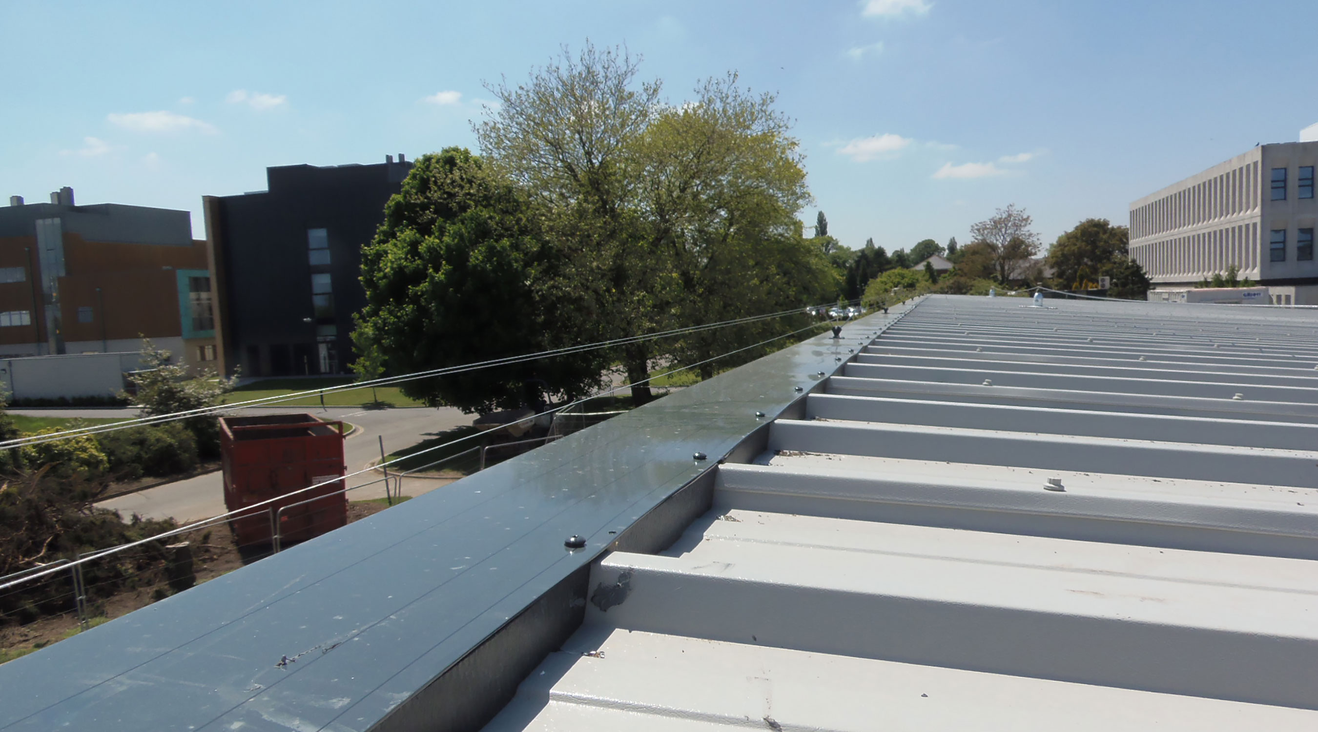 Bird+Proofing