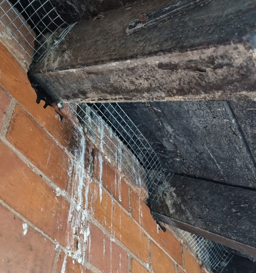 Bird Proofing Using Mesh