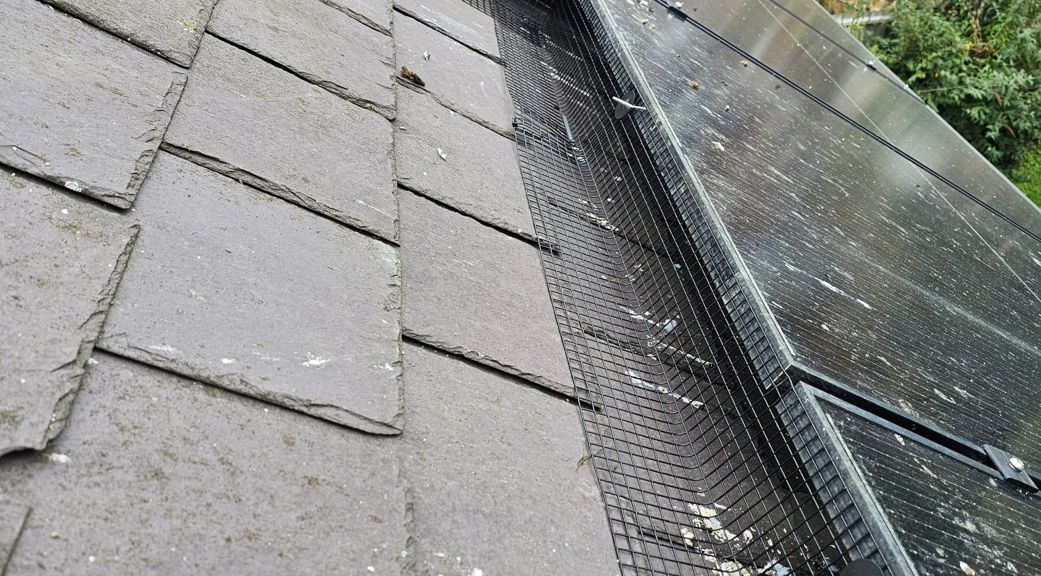Pigeon Proofing Solar Panels in Oakham