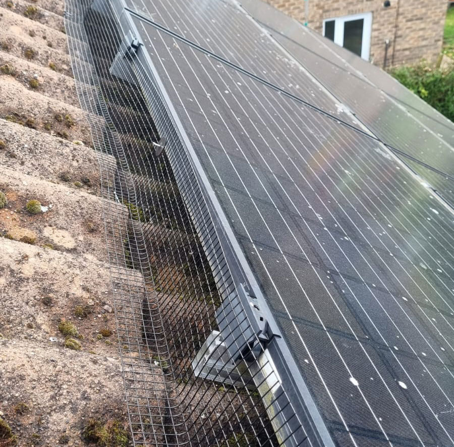 Bird Proofing Solar Panels in Bestwood Village