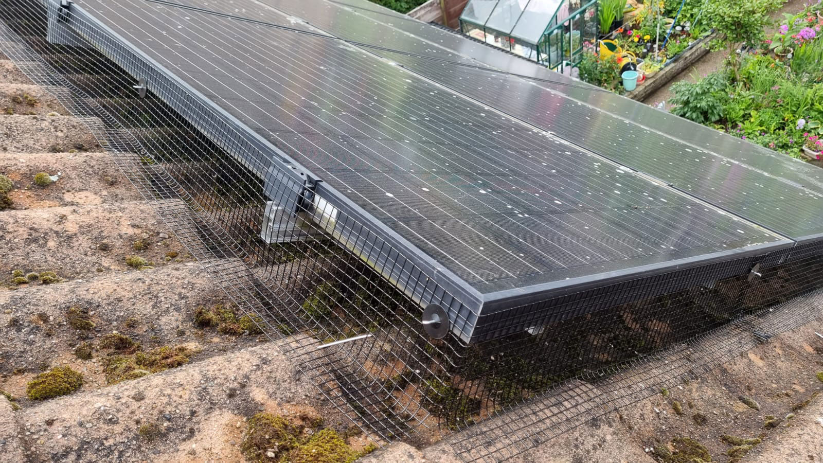 Bird Proofing Solar Panels in Bestwood Village