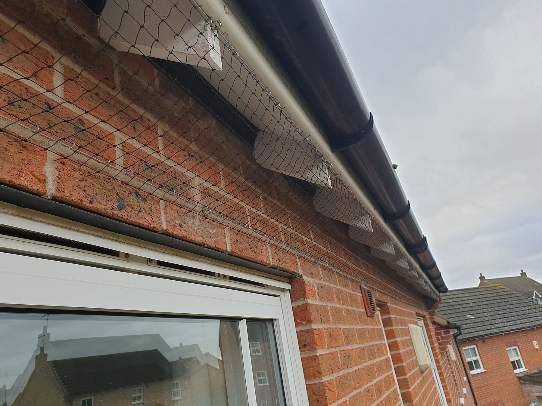 Protecting Property from Nesting Birds