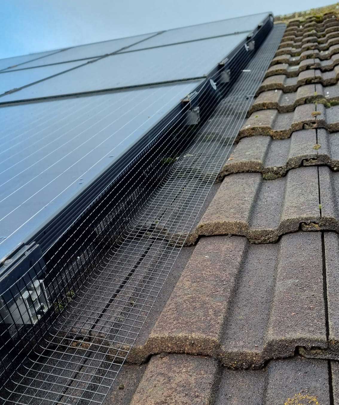 Solar Panel Pigeon Proofing in All Weathers