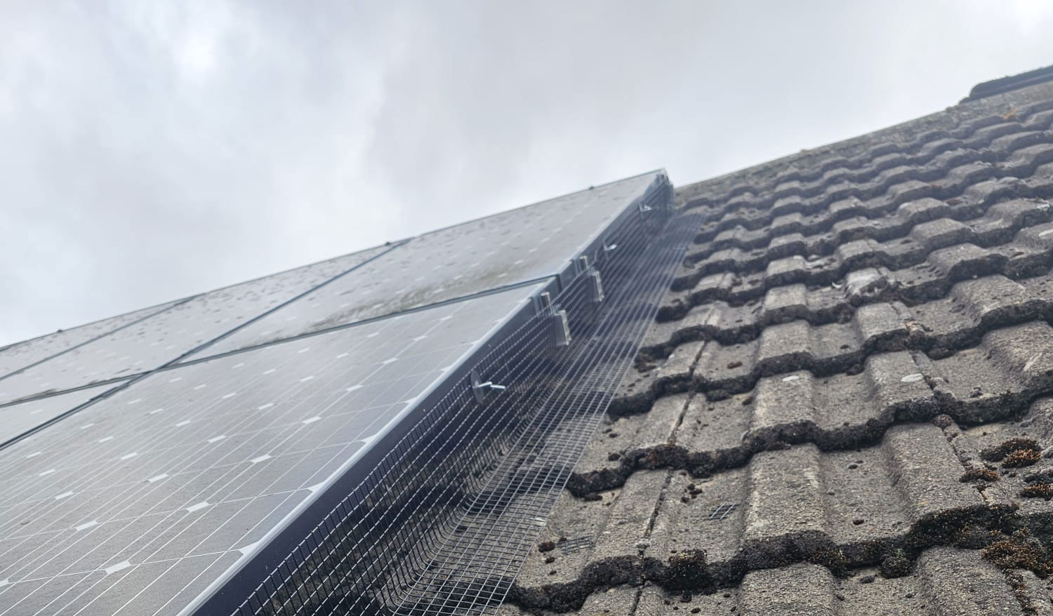 Protecting Solar Panels From Pigeons in Blidworth