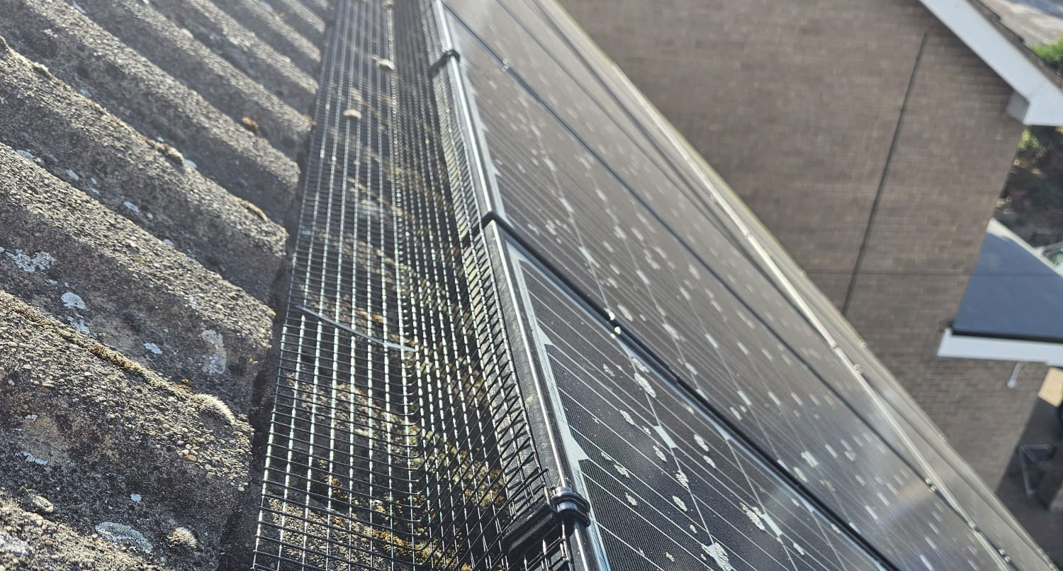 Protecting Solar Panels From Pigeons in Blidworth