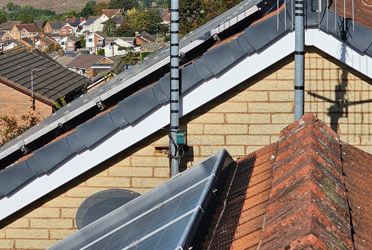 Double Pigeon Trouble in Bolsover