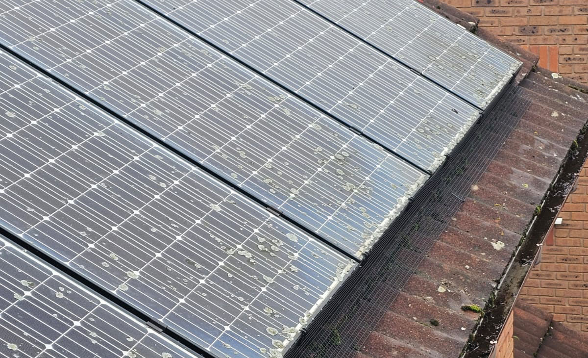 Pigeon+Proofing+Solar+Panels+in+Borrowash