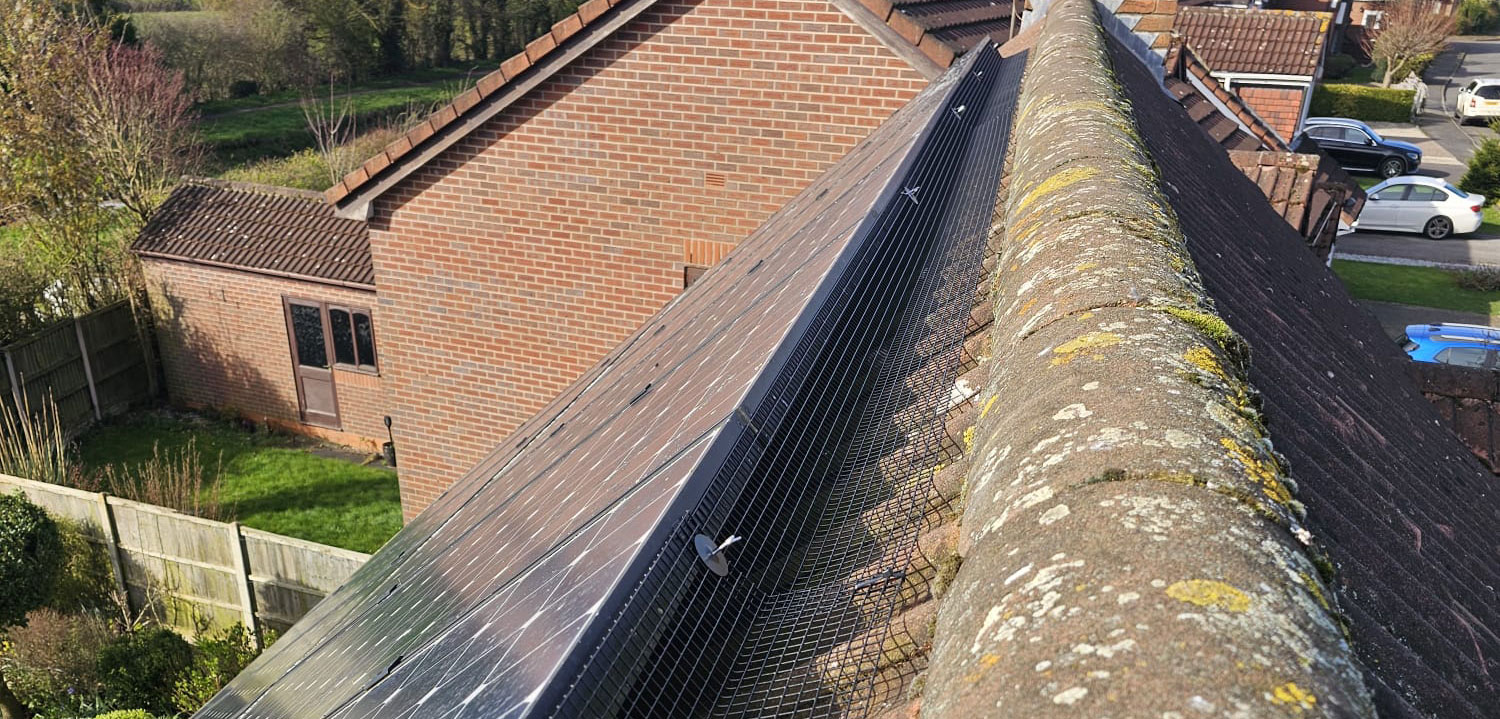 Pigeon Proofing Solar Panels in Borrowash