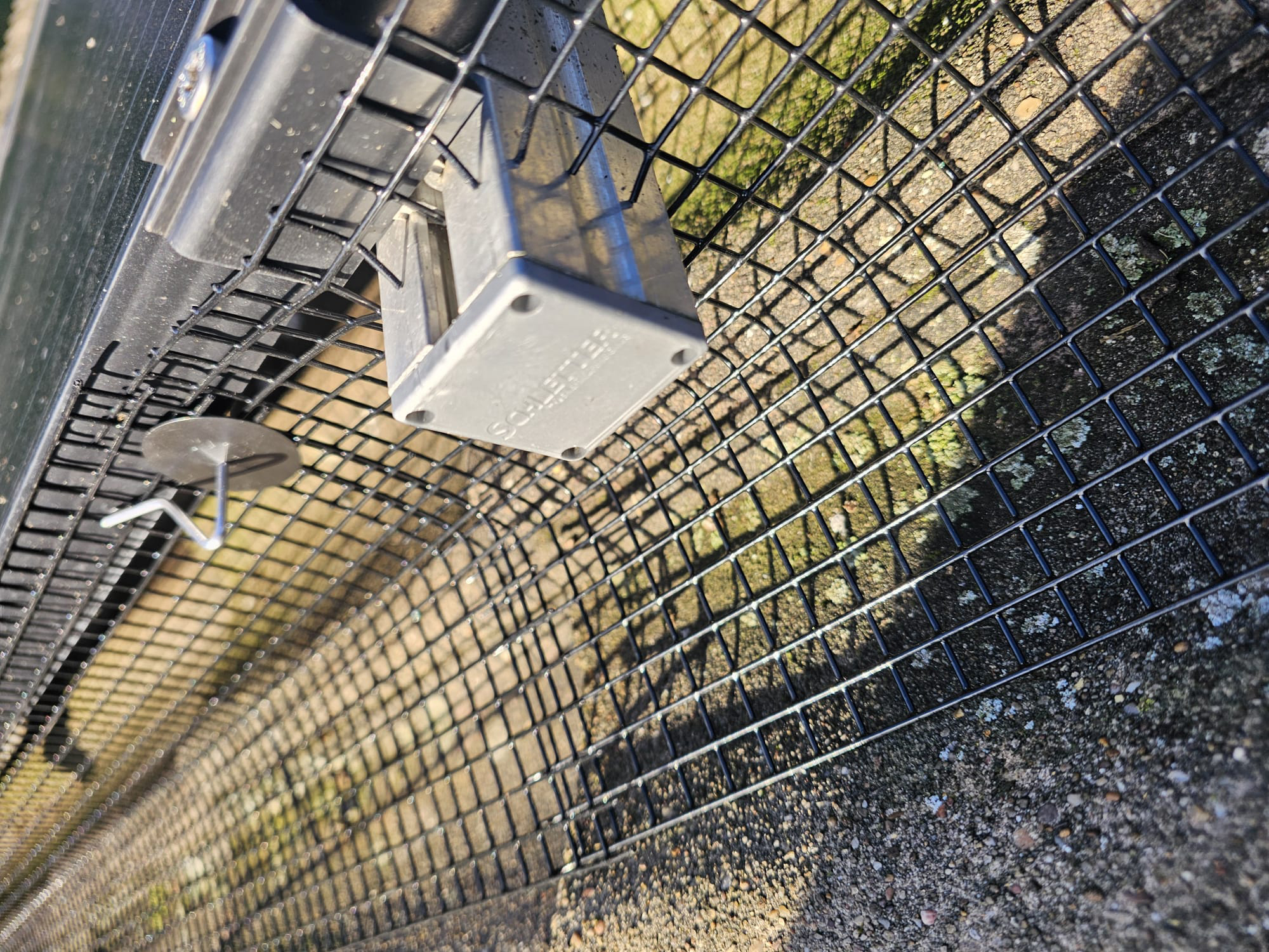 Pigeon Proofing Solar Panels in Bramcote
