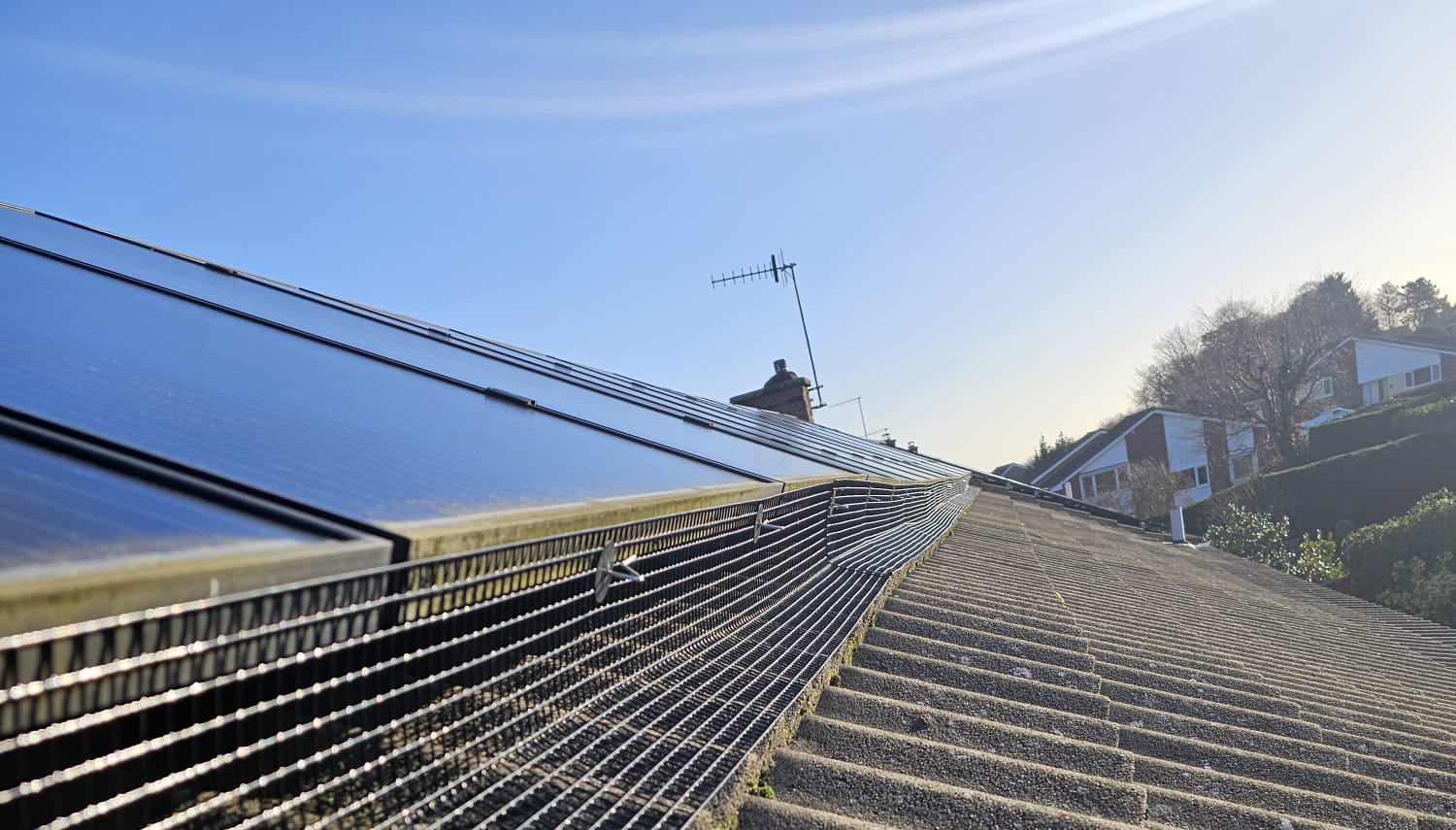 Pigeon+Proofing+Solar+Panels+in+Bramcote