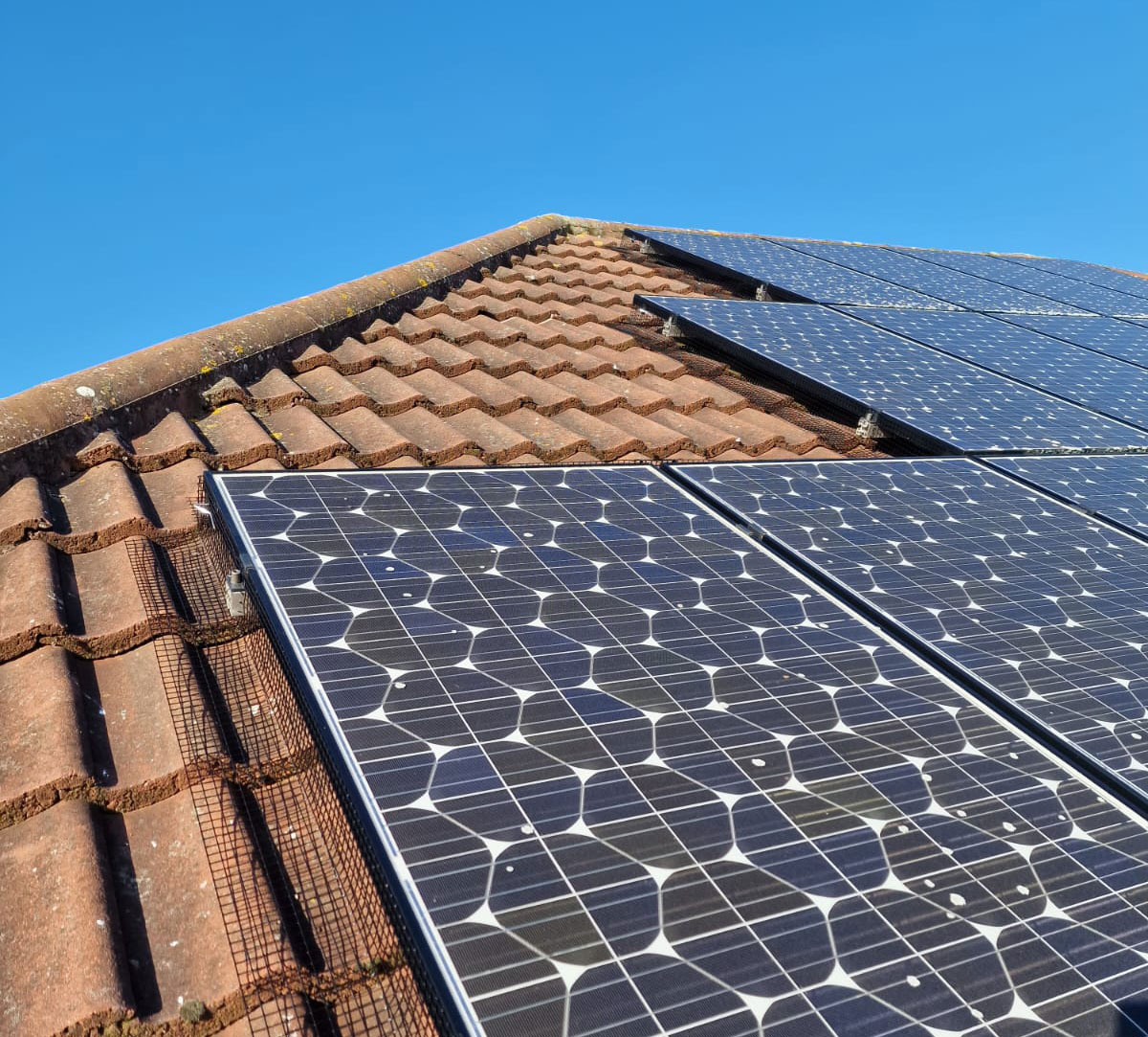 If Pigeons Can Get To Your Solar Panels - So Can We!