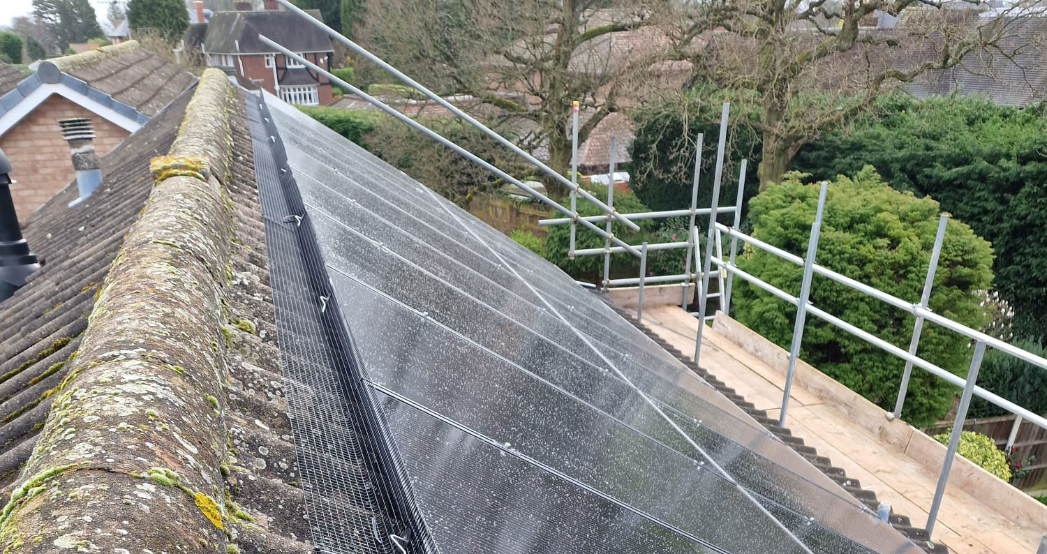 Pigeons Make a Home Under Solar Panels in Bramcote