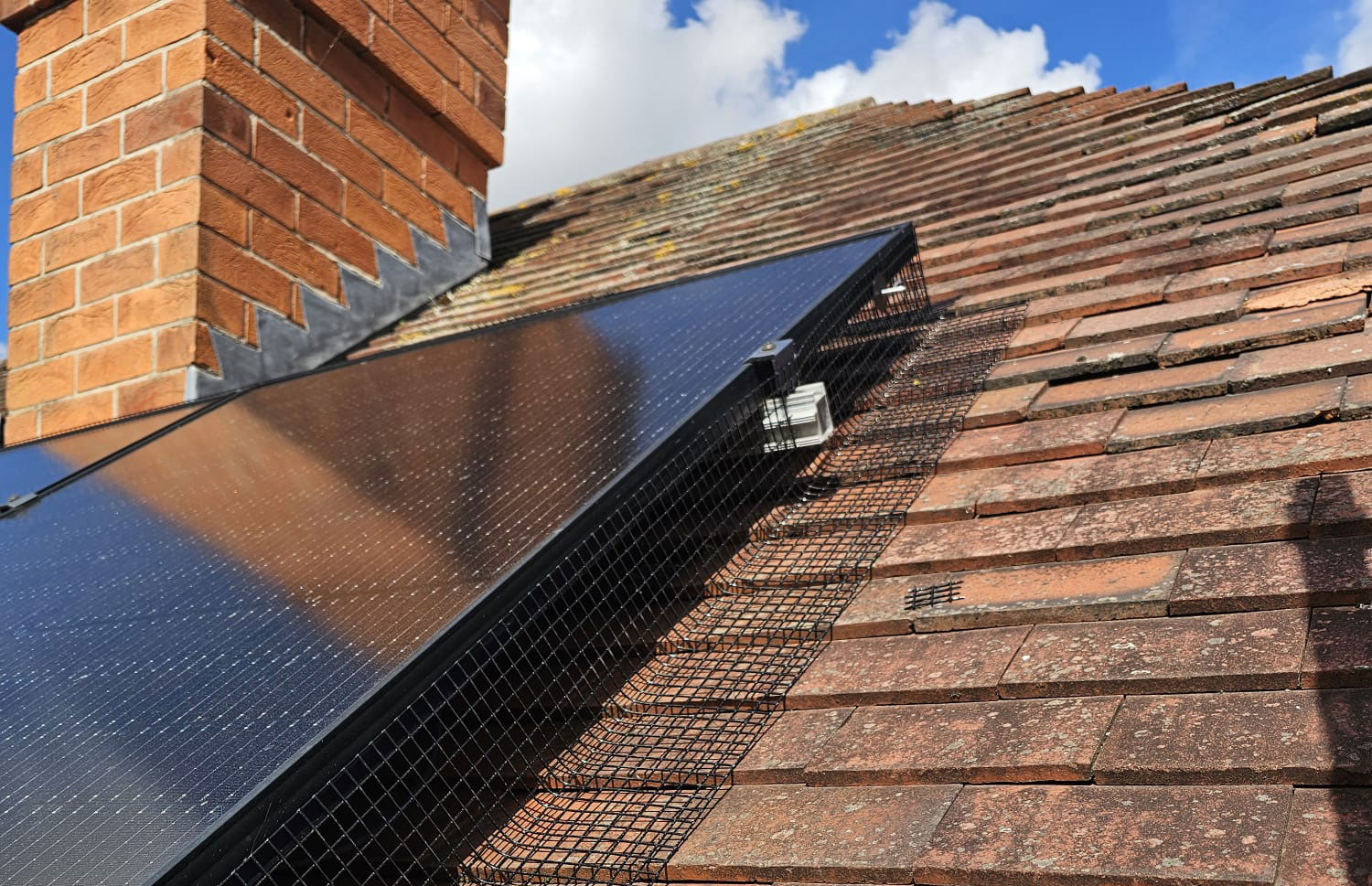 Protecting Solar Panels From Pigeons in Breaston