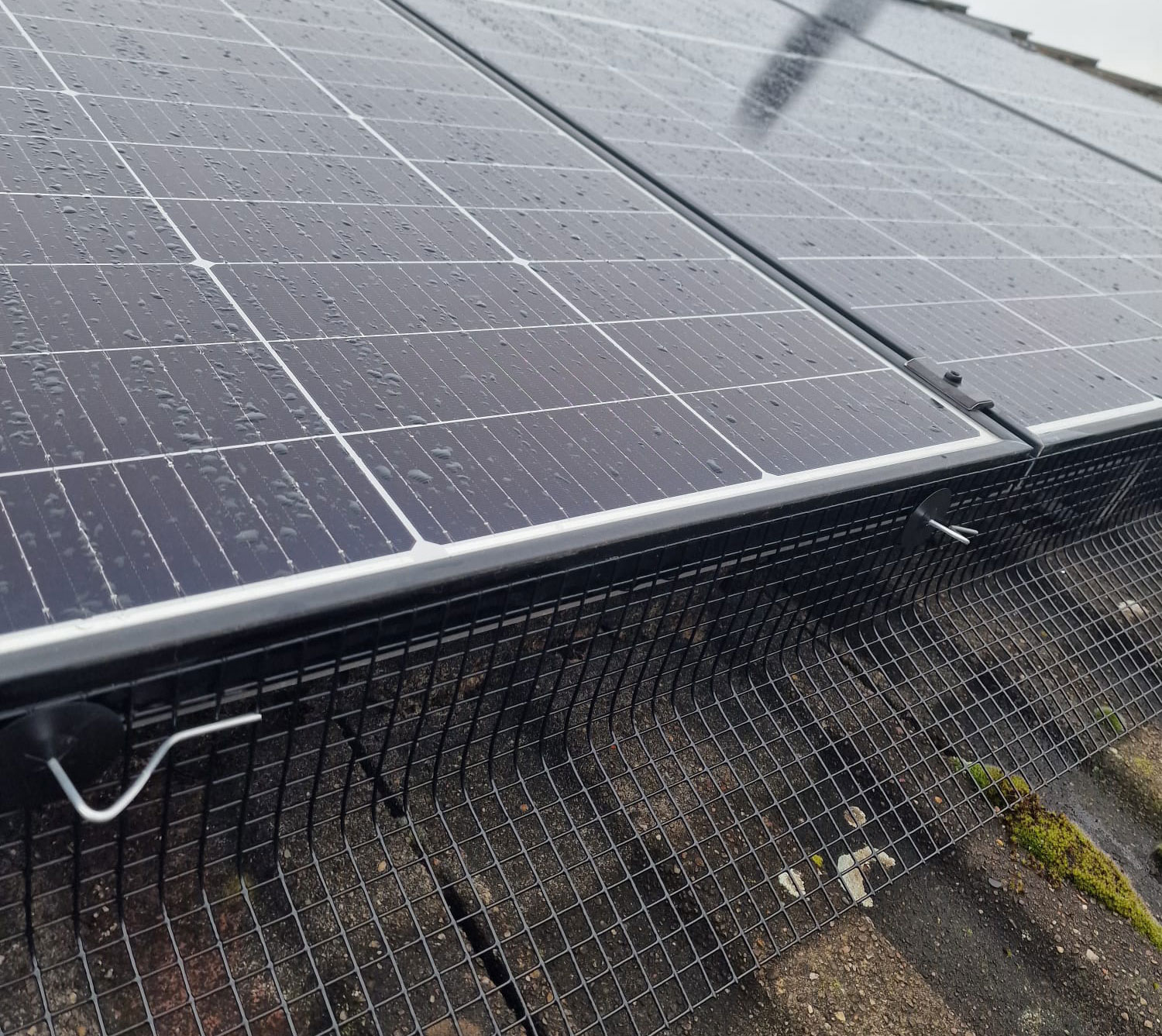 Protecting+Solar+Panels+from+Pigeons+in+Bulwell%2C+Nottingham