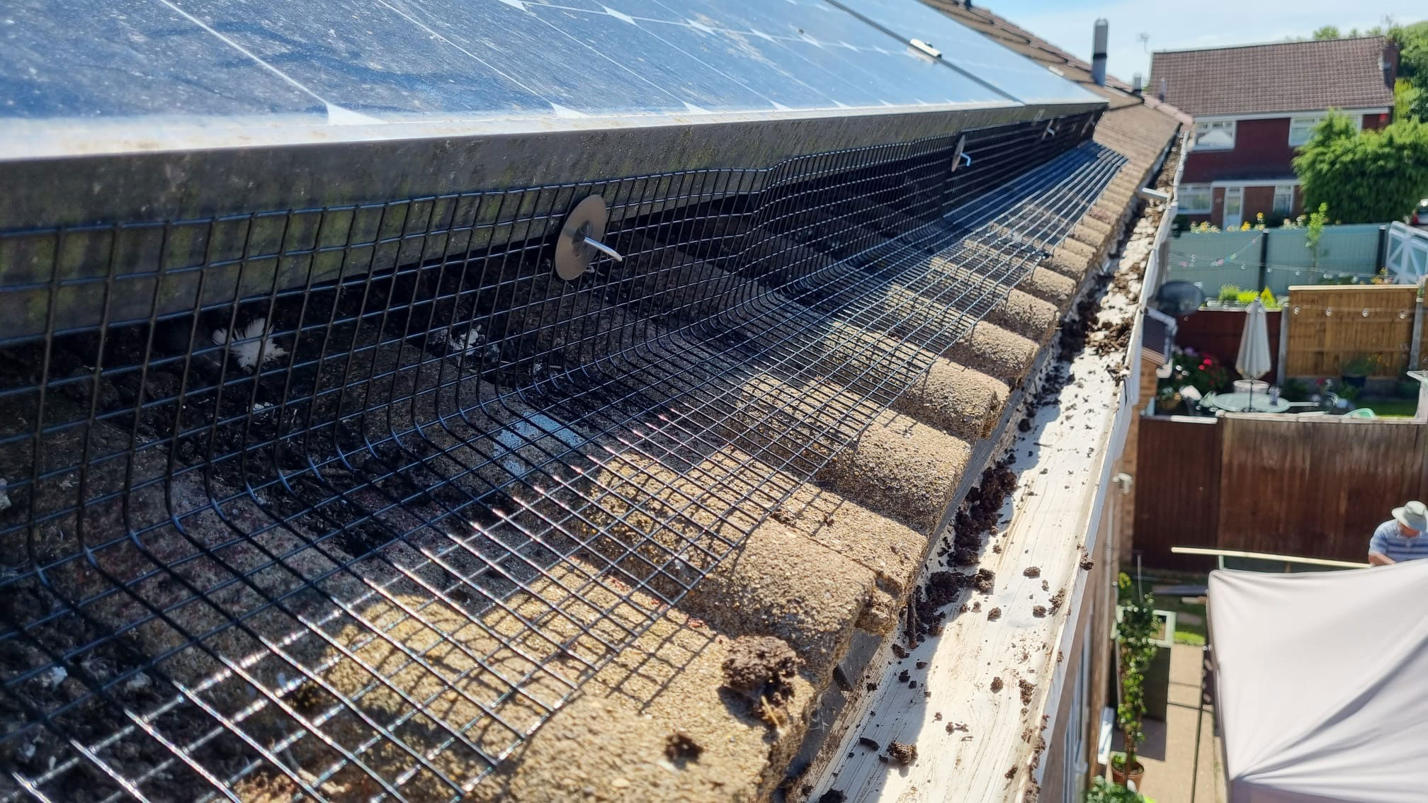 Pigeons in Bulwell and Solar Panels