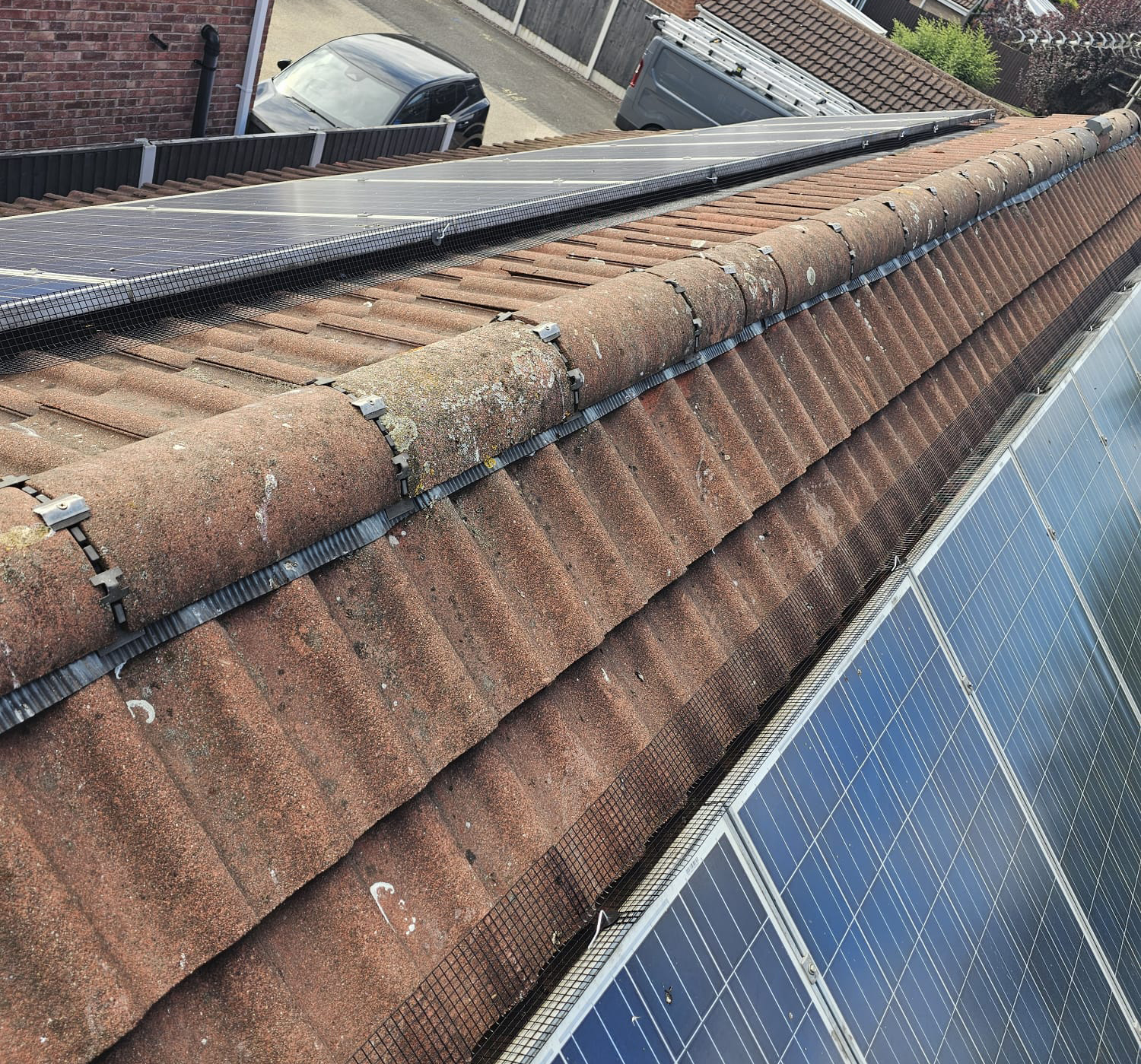 In Bulwell Protecting Solar Panels From Pigeons