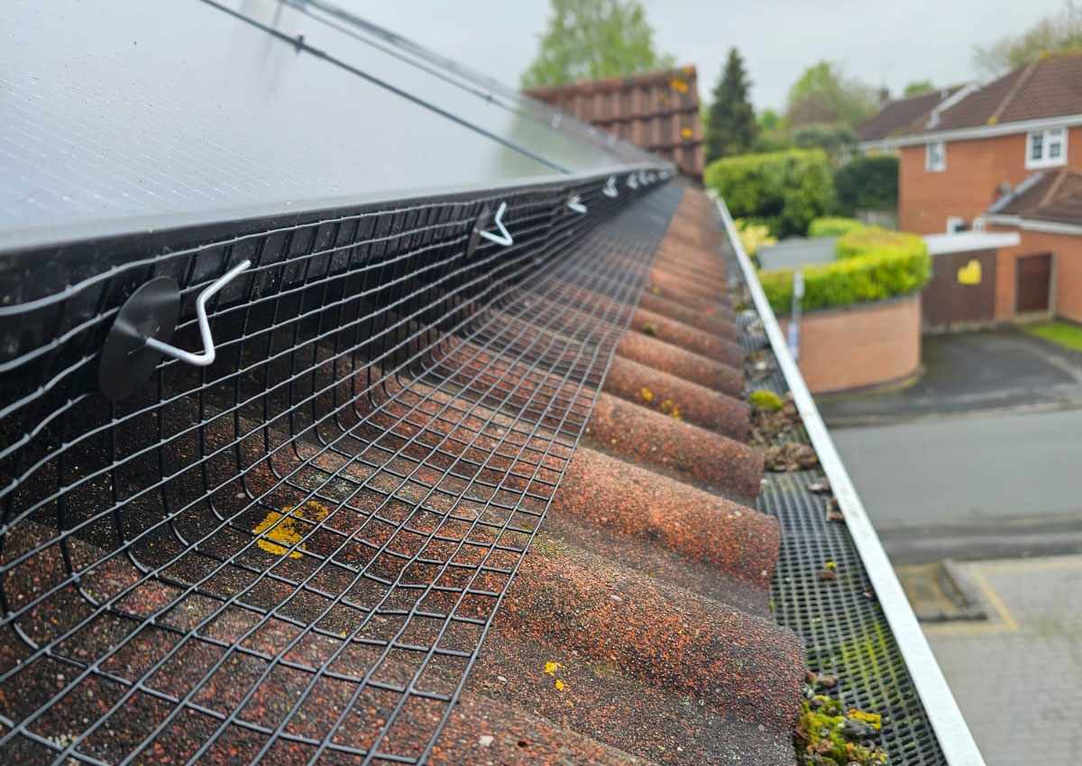 Protecting Solar Panels From Pigeons in Hinckley