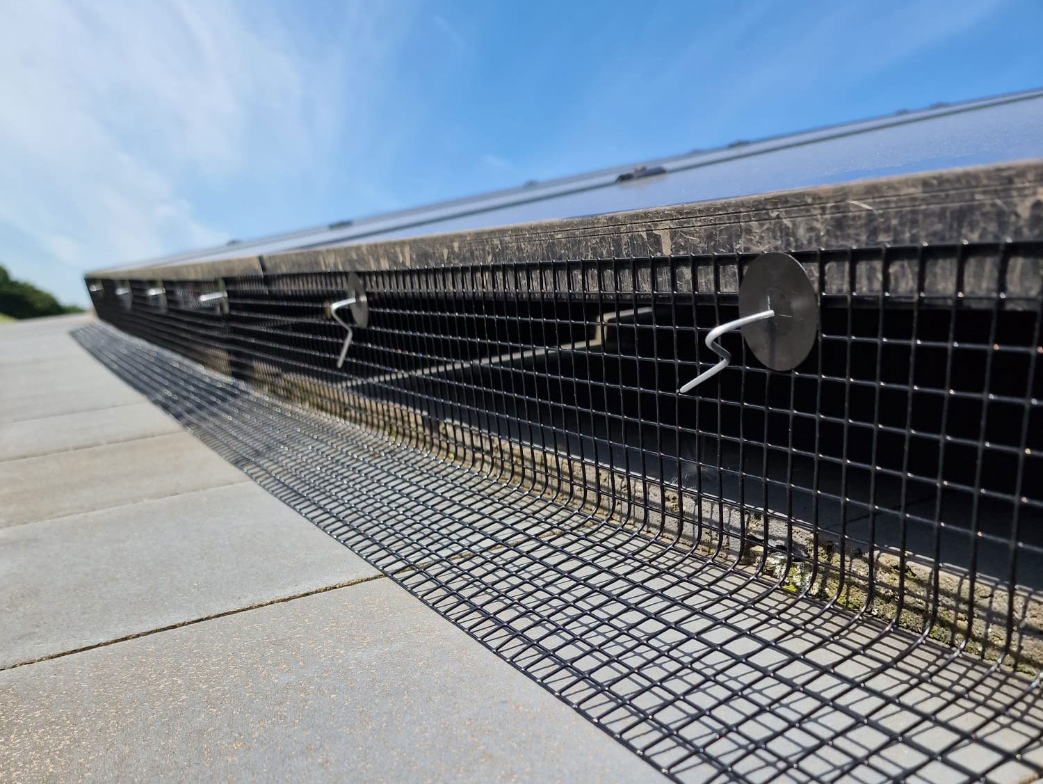 New Build Solar Panels Attract Pigeons in Burton Joyce