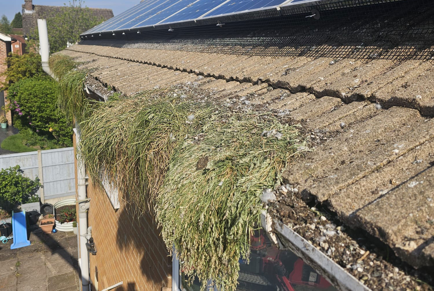 Protecting Solar Panels From Pigeons in Calverton