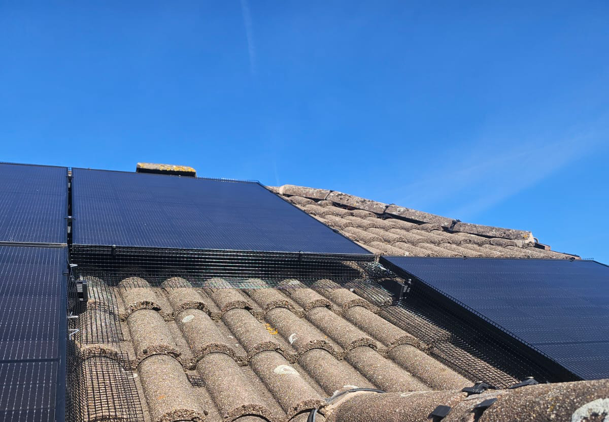 Pigeon Proofing Solar Panels in Carlton
