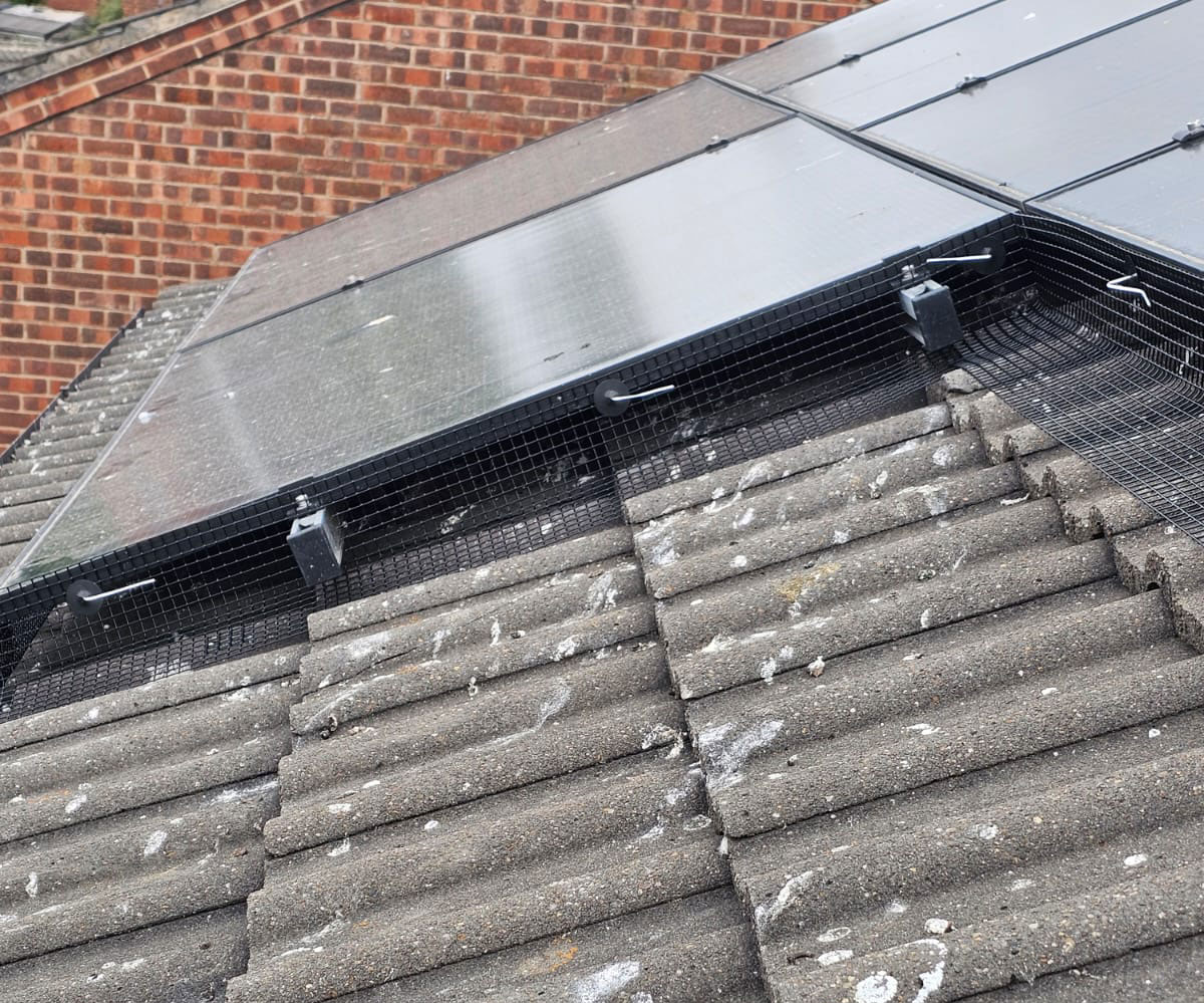 Protecting Solar Panels From Nesting Pigeons in Carlton