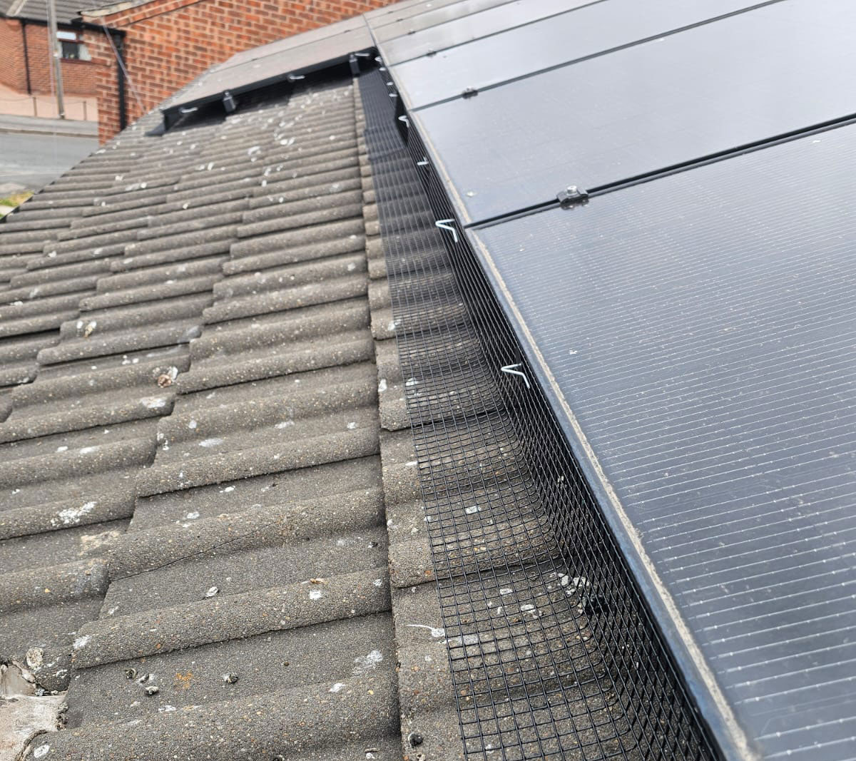 Protecting+Solar+Panels+From+Nesting+Pigeons+in+Carlton