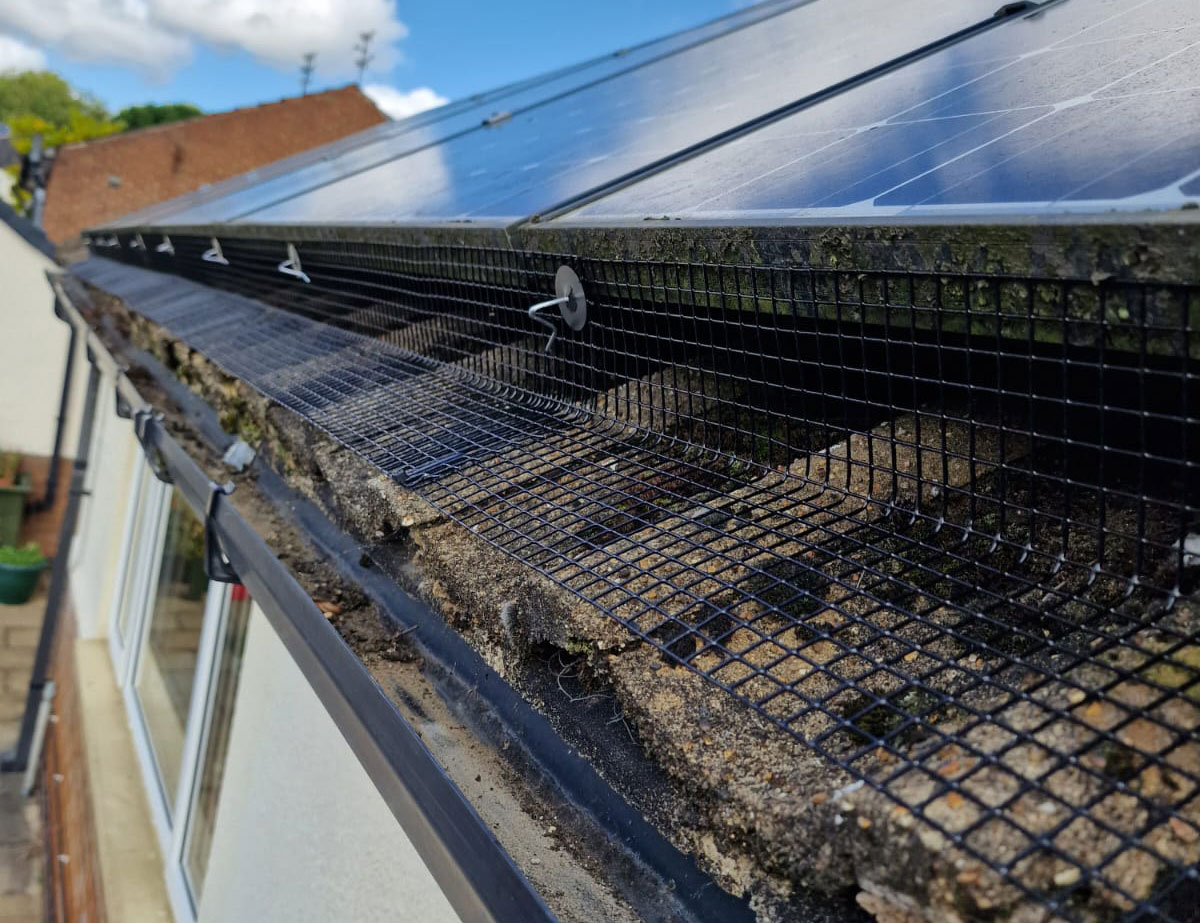Protecting+Solar+Panels+from+Pigeons+in+Carlton