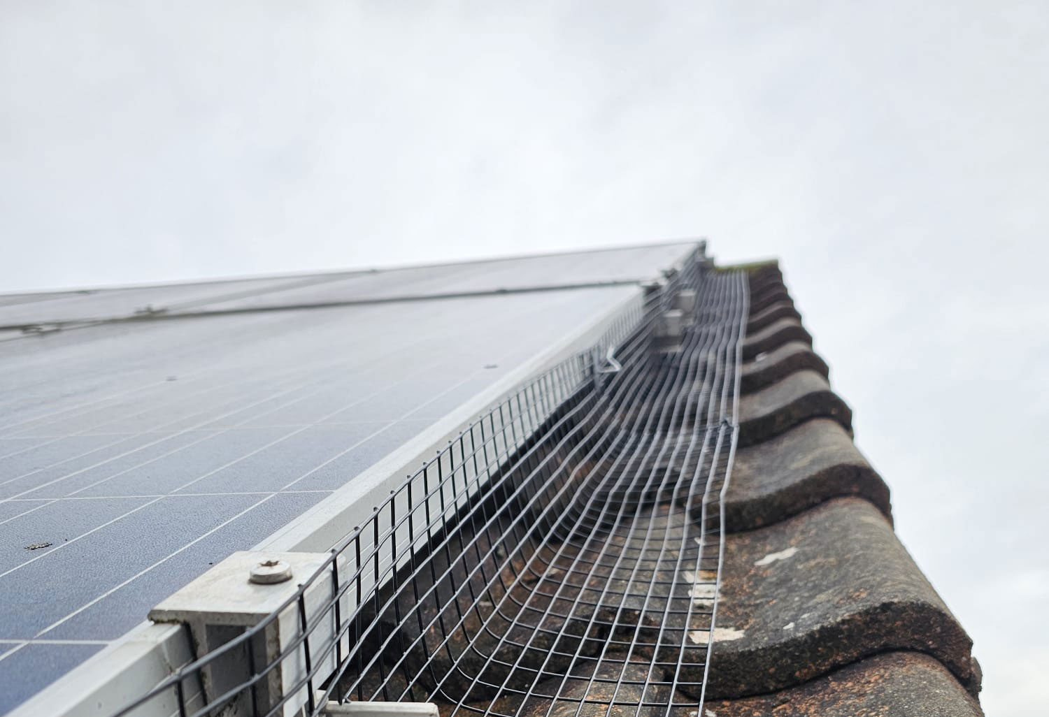 Solar Panels Protected From Pigeons in Chellaston