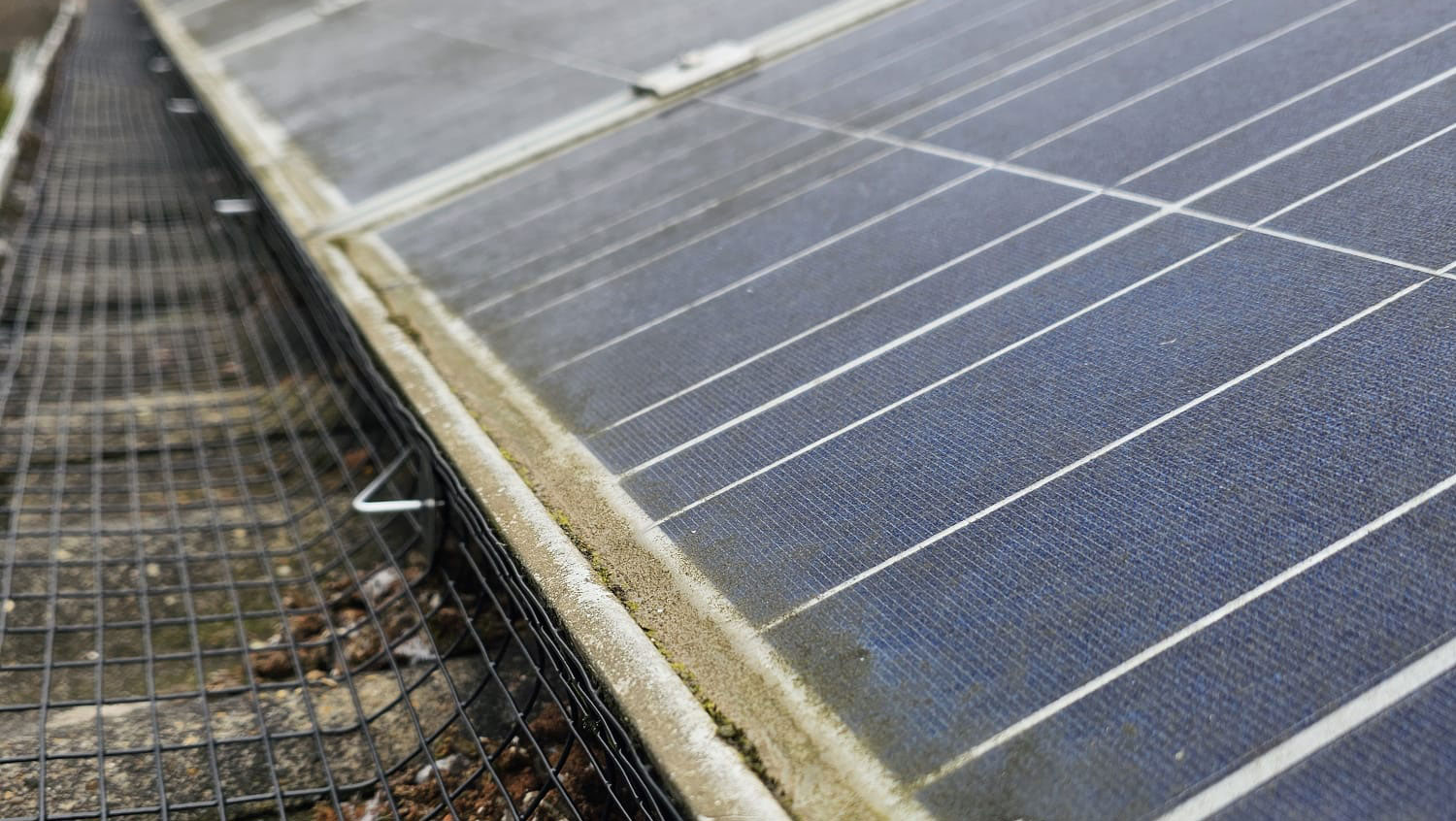 Solar Panels Protected From Pigeons in Chellaston
