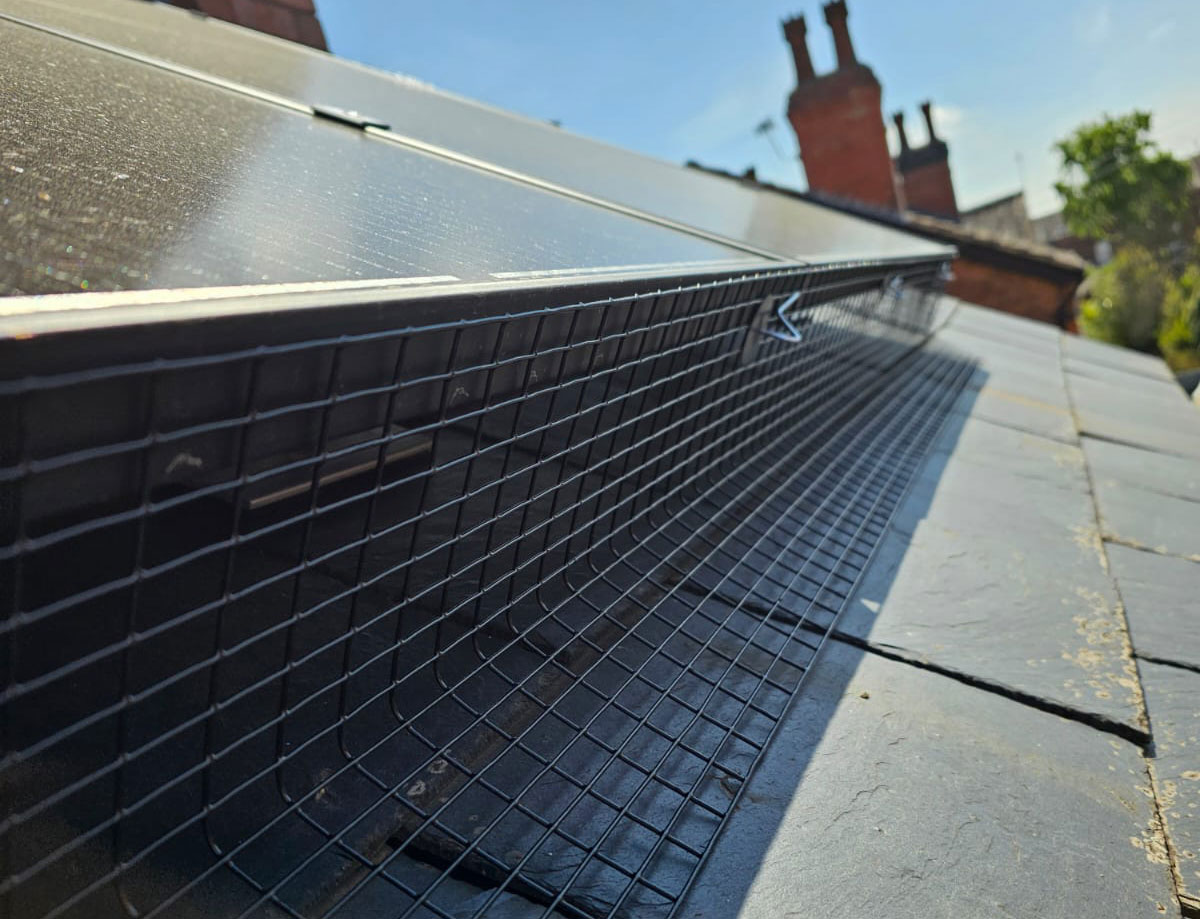 Pigeon Proofing Solar Panels in Chilwell