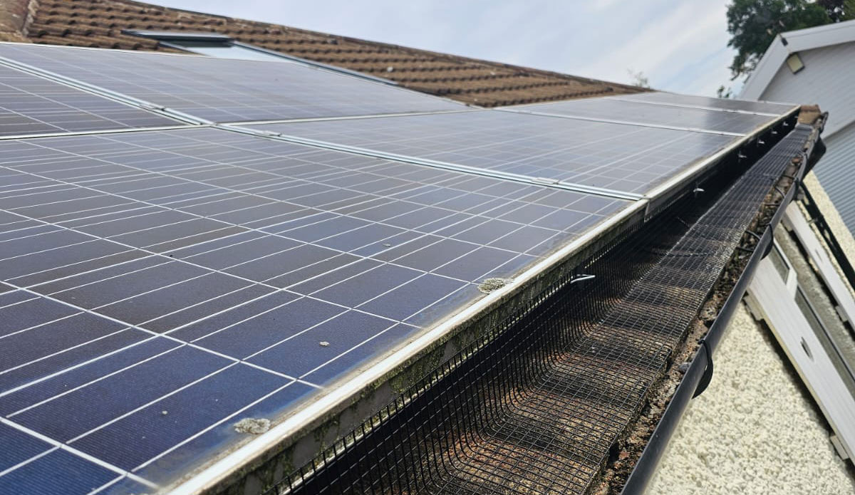 Protecting Solar Panels From Pigeons in Chilwell