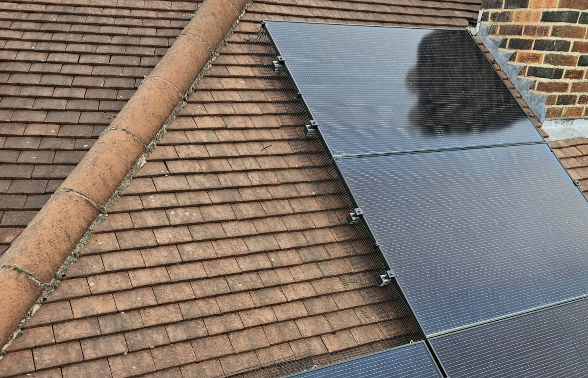 Protecting Solar Panels From Pigeons in Chilwell