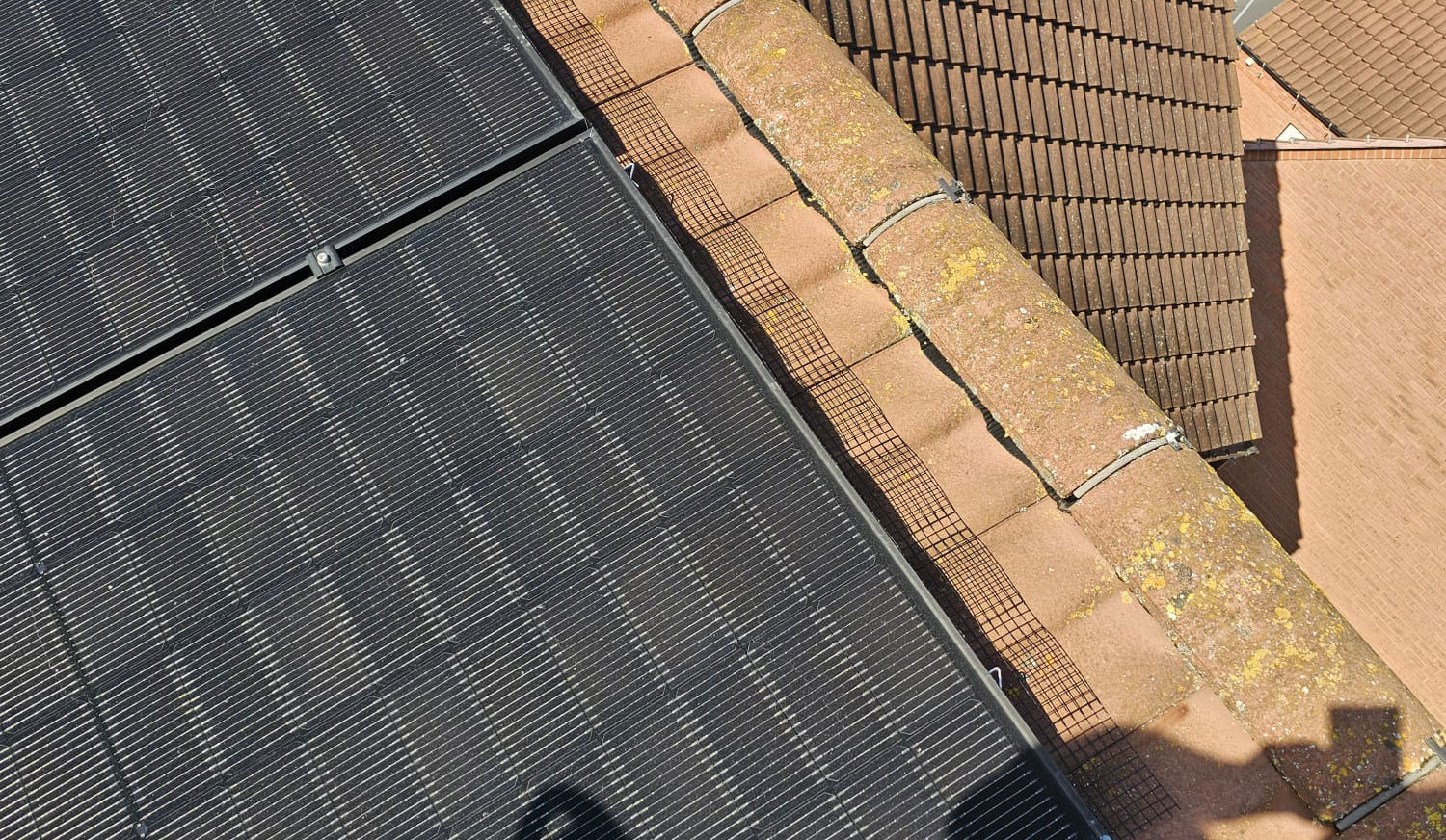 Protecting Solar Panels from Pigeons in Cotgrave
