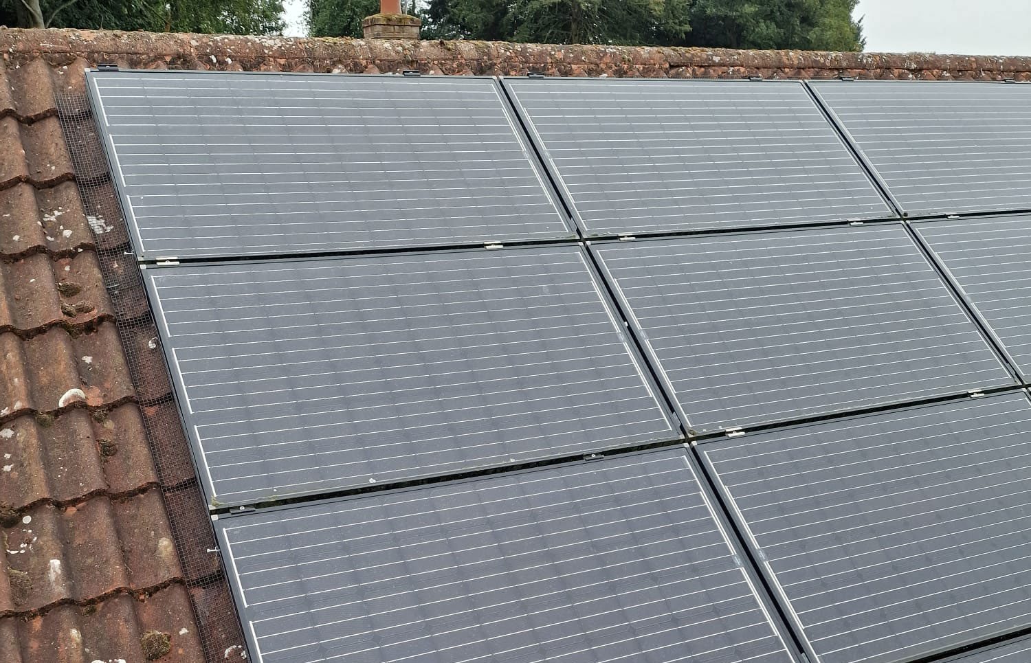 Protecting Solar Panels from Pigeons in Darley Abbey