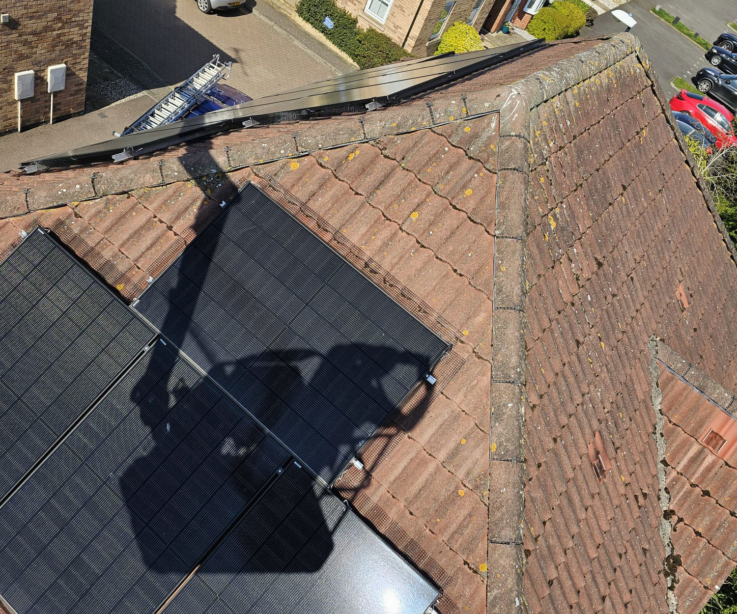 Protecting Solar Panels from Pigeons in Derby