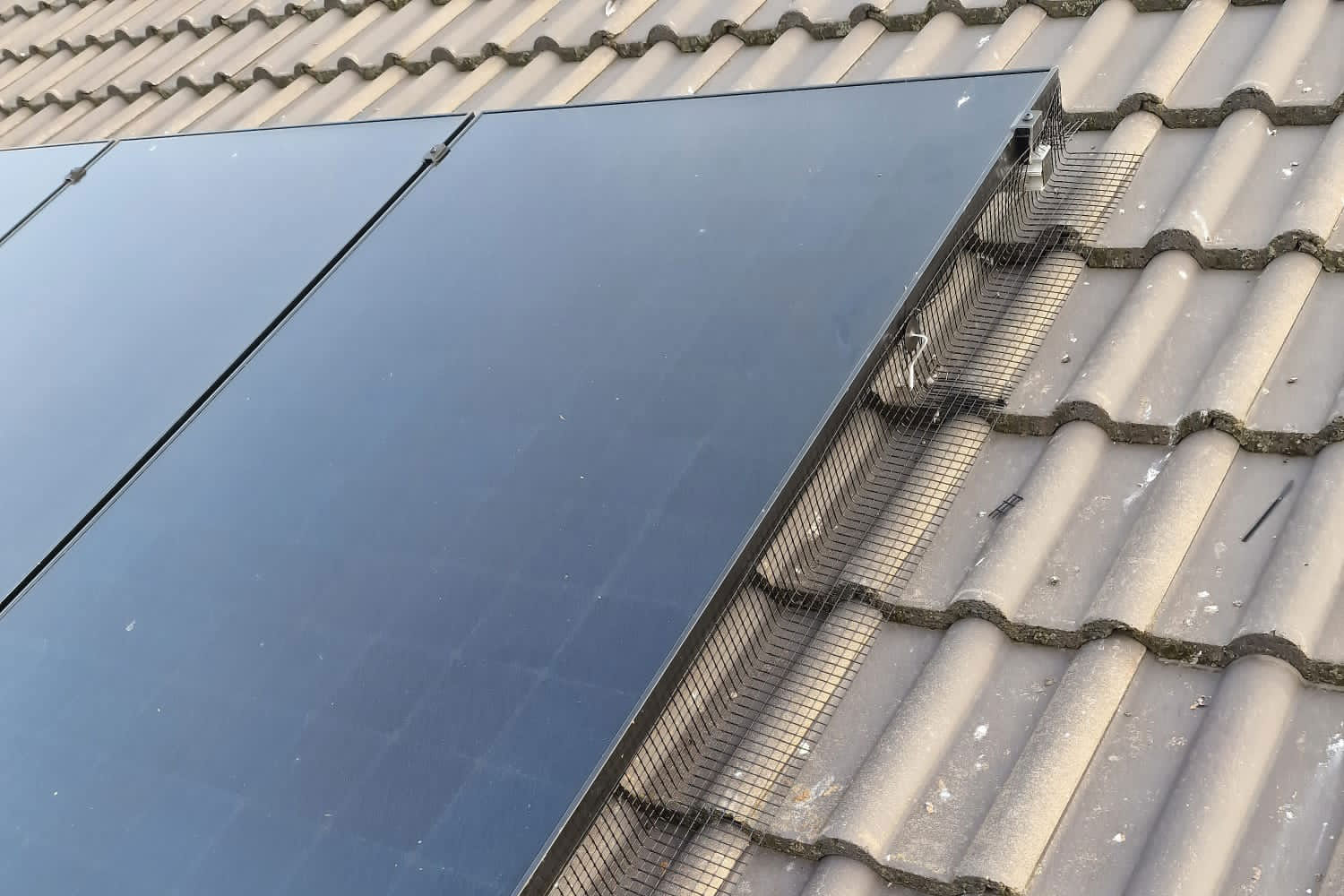 Pigeon+Proofing+Solar+Panels+in+Draycott