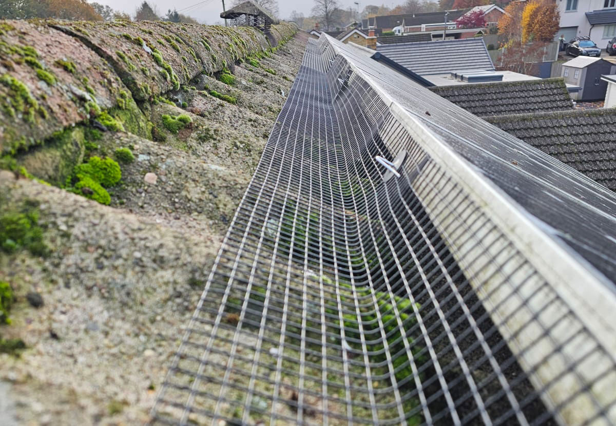 Protecting Solar Panels From Pigeons In Duffield