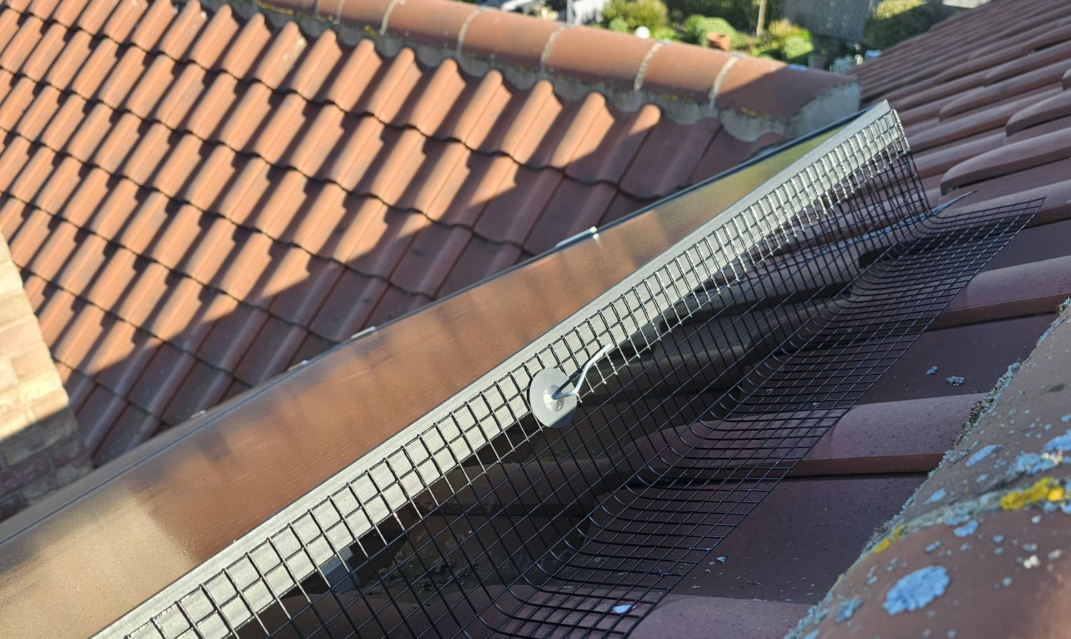 Protecting+Solar+Panels+from+Pigeons+in+East+Bridgford