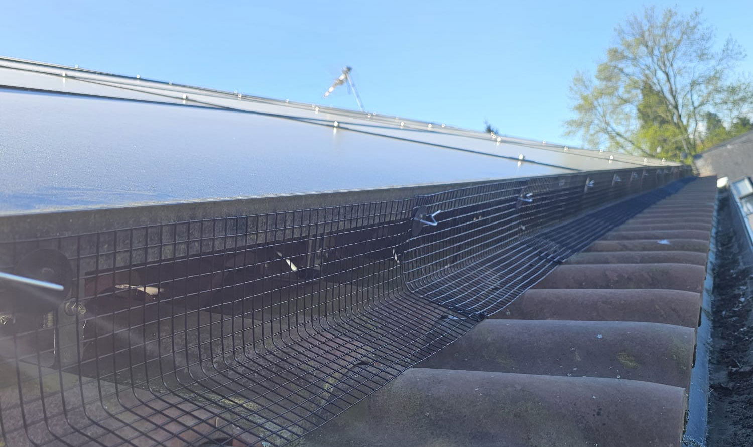 Protecting Solar Panels from Pigeons in East Bridgford