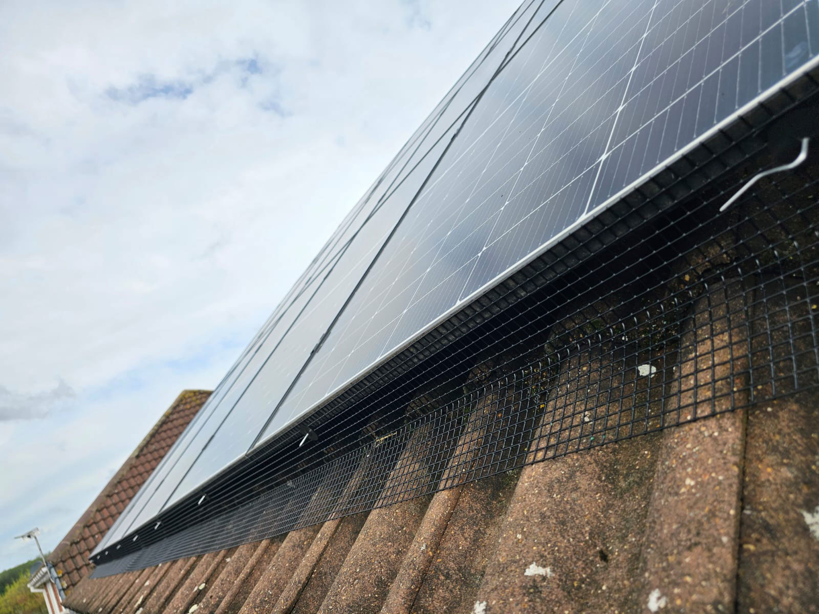 Protecting Solar Panels From Pigeons in East Leake