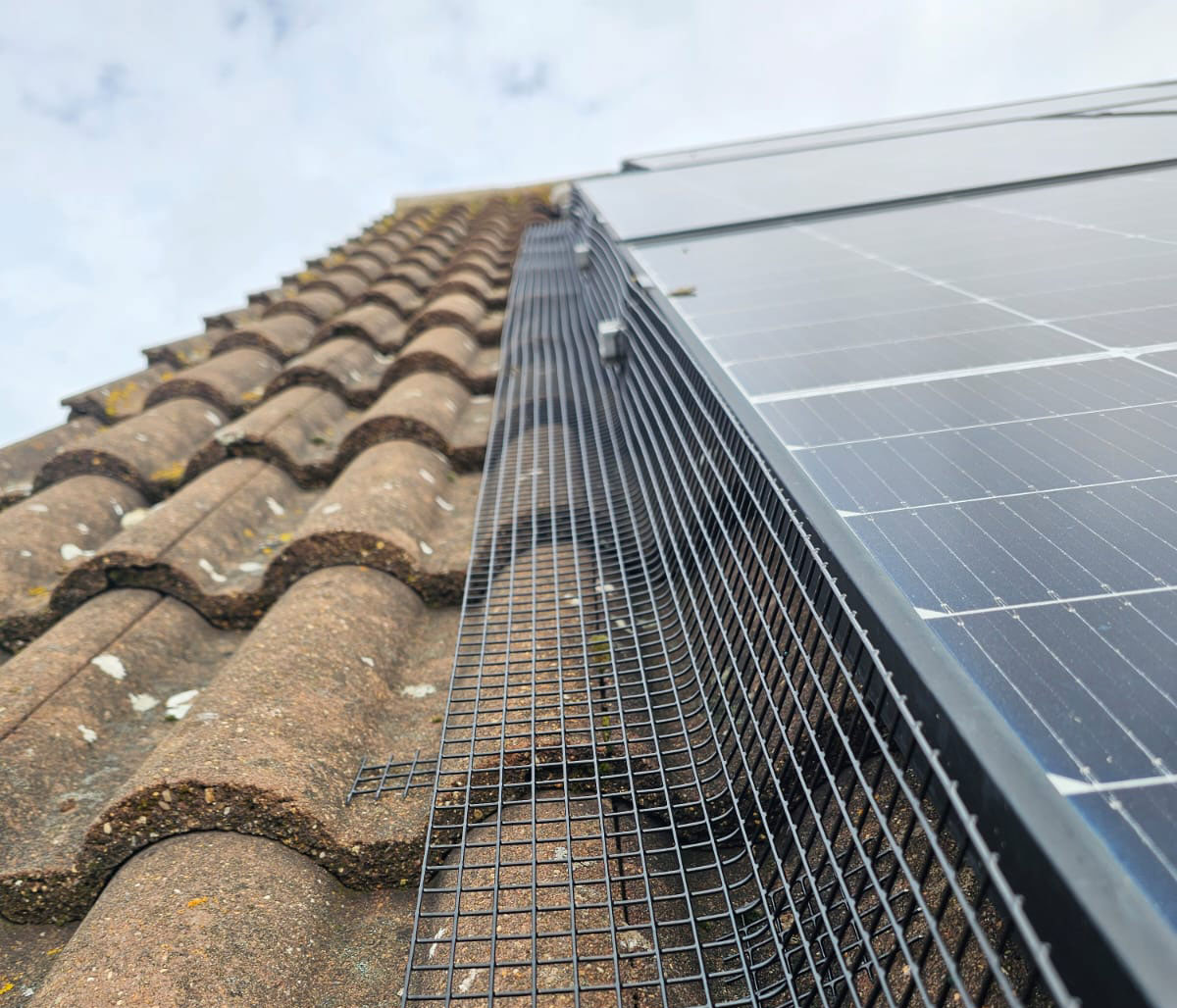 Protecting+Solar+Panels+From+Pigeons+in+East+Leake