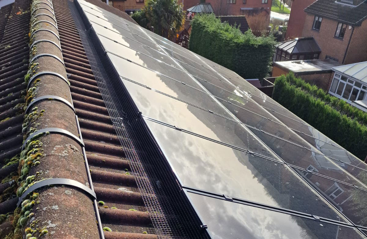 Protecting+Solar+Panels+from+Pigeons+in+Eastwood