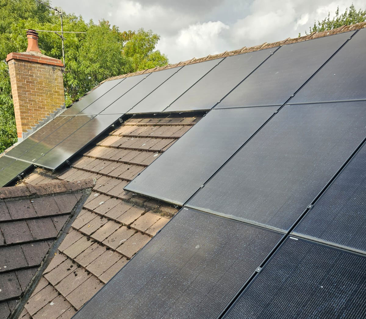 Protecting Solar Panels From Pigeons in Edwalton