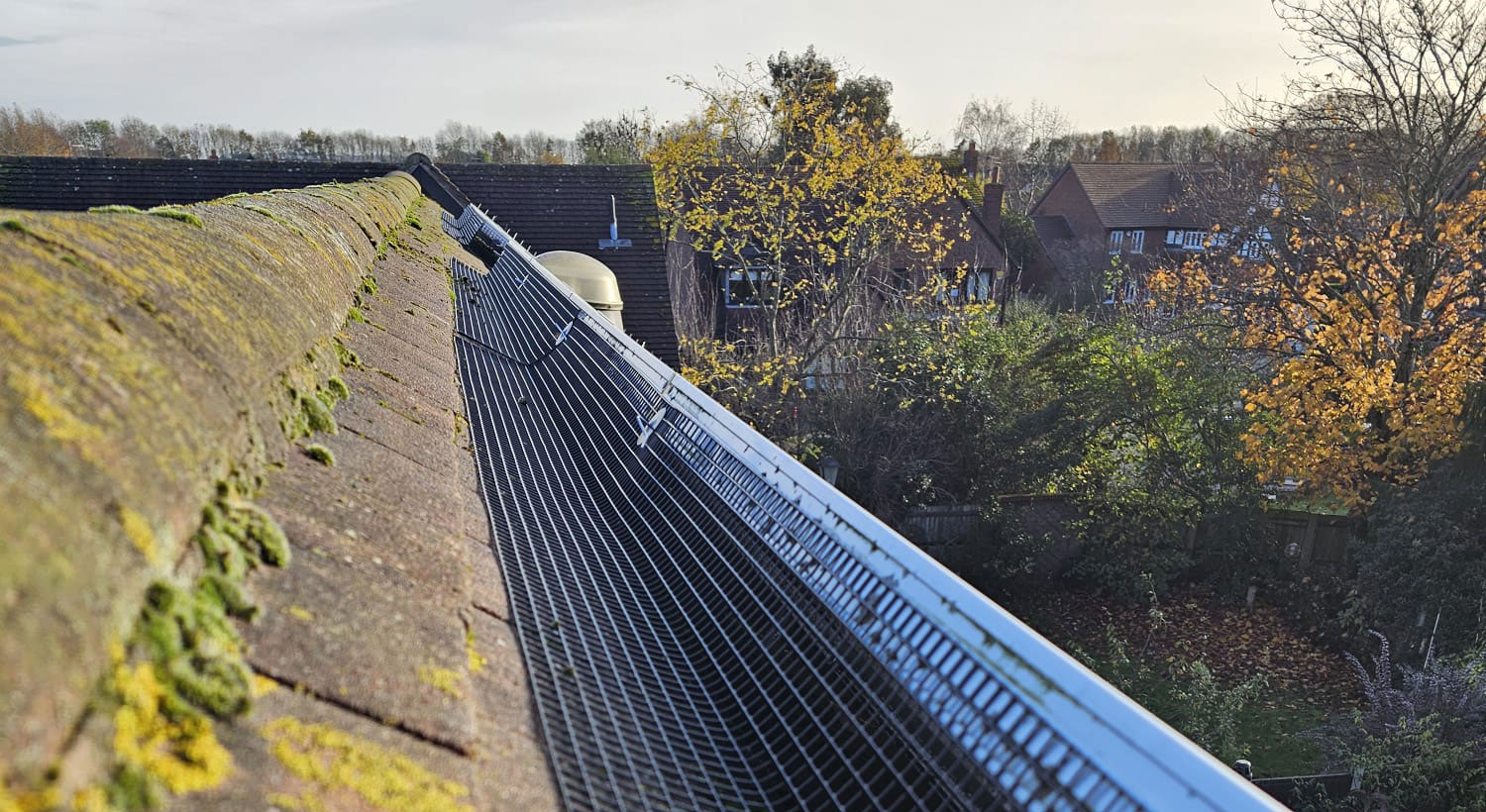 Protecting+Solar+Panels+From+Pigeons+in+Gamston